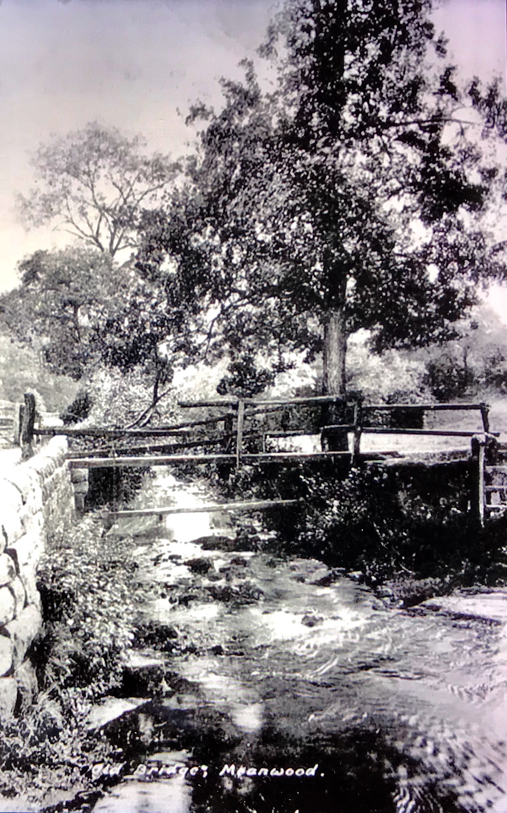 Meanwood Valley