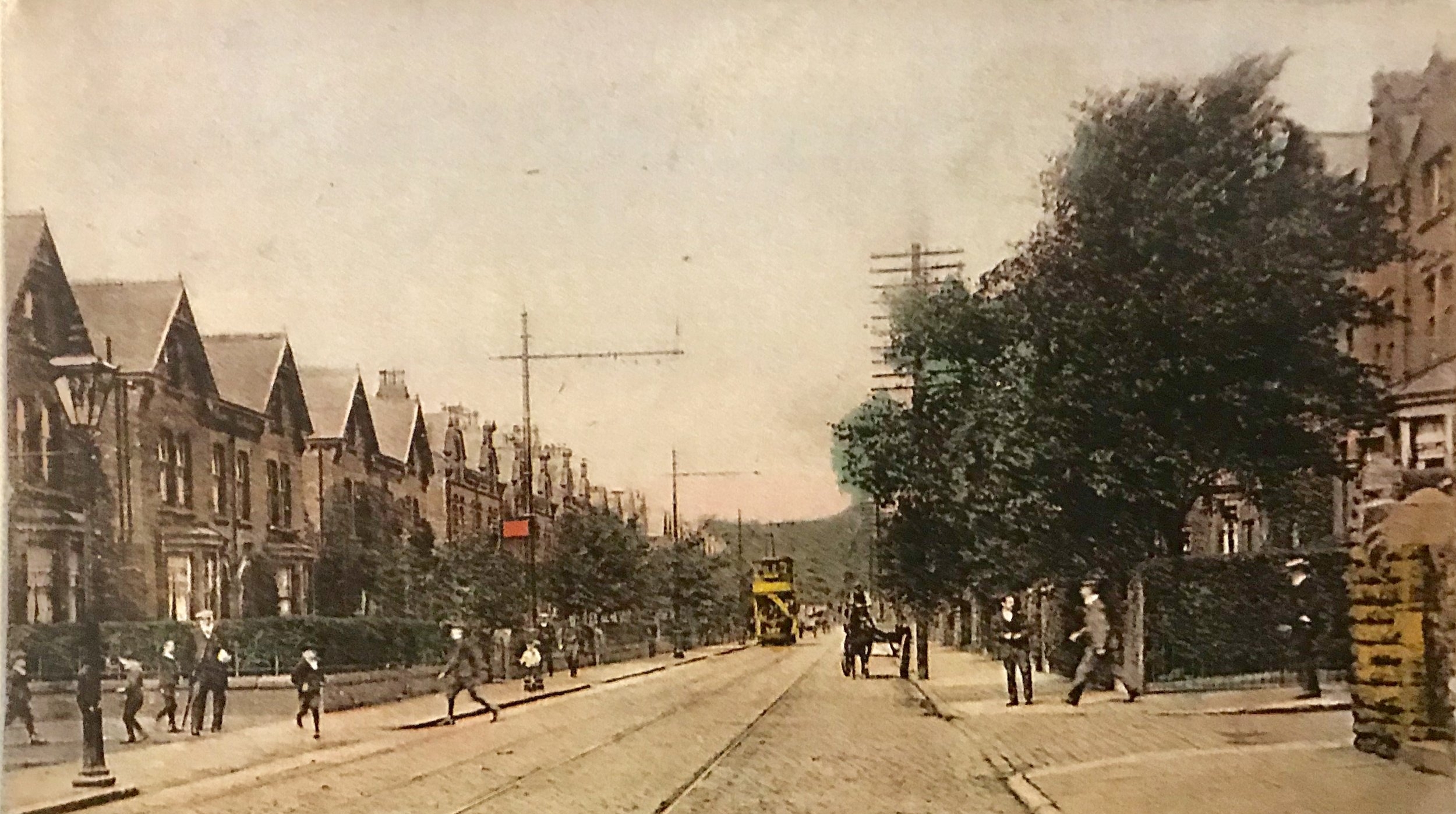 Cardigan Road, 1907