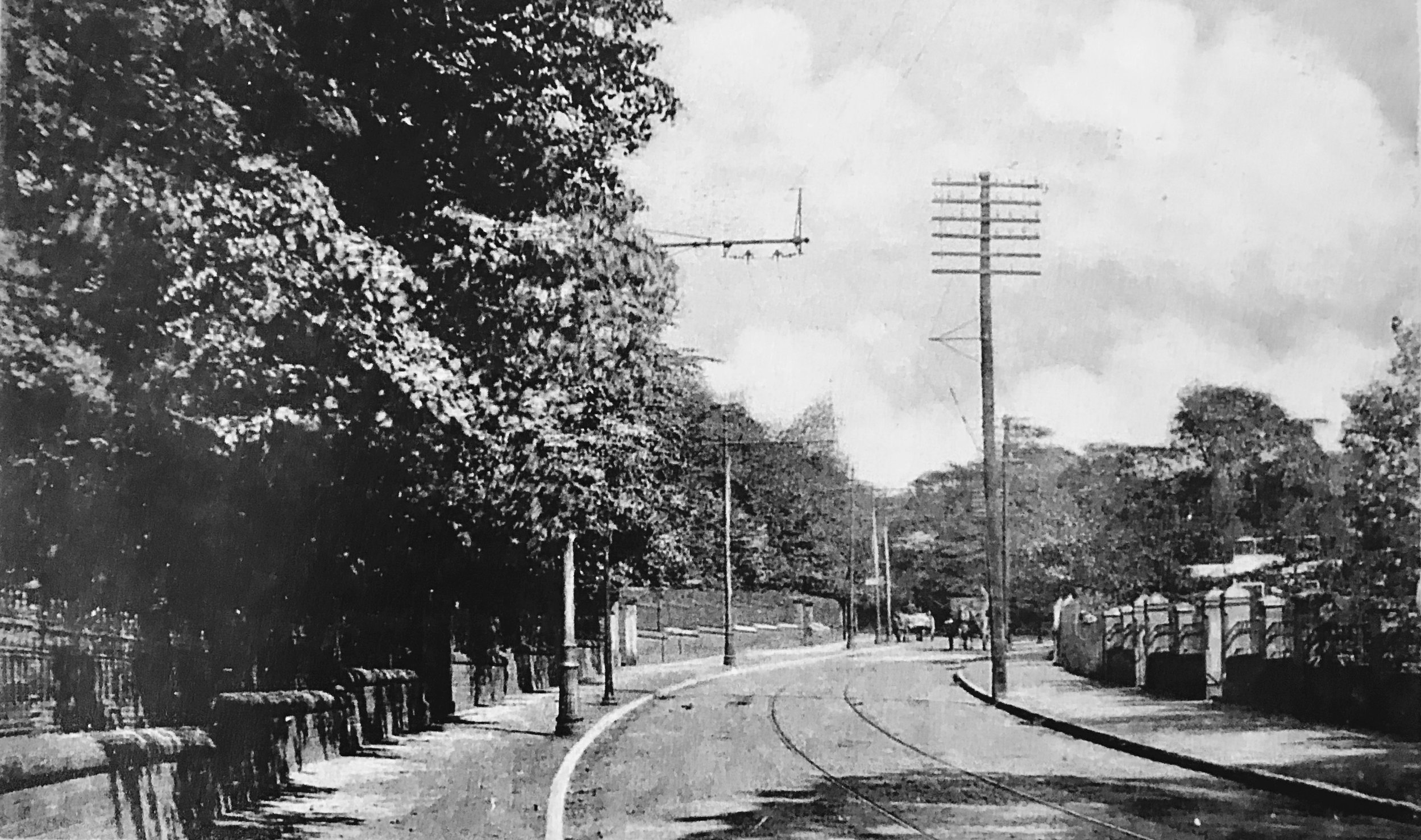 Cardigan Road, towards Spring Road, 1914