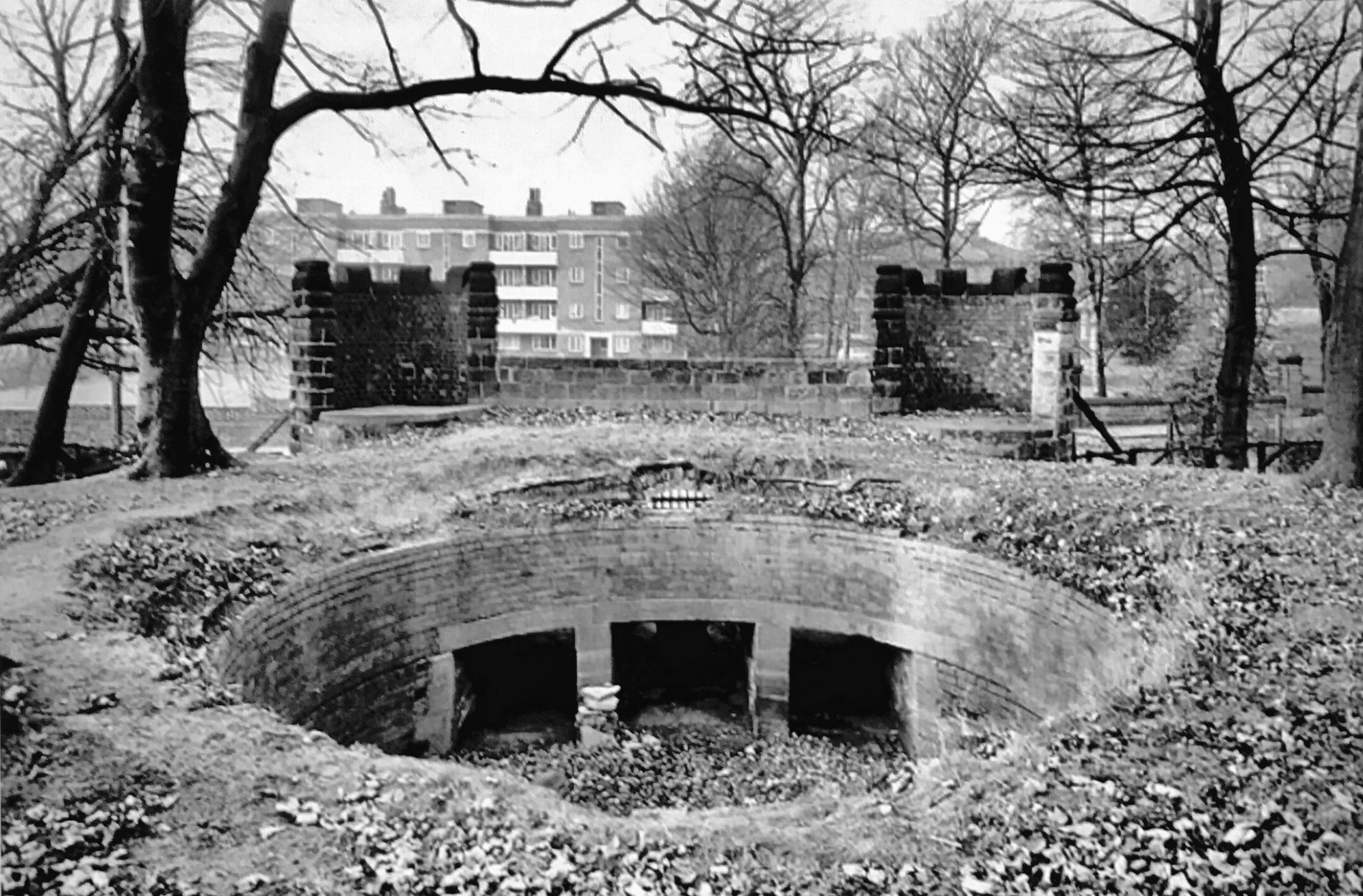 The Bear Pit, interior 