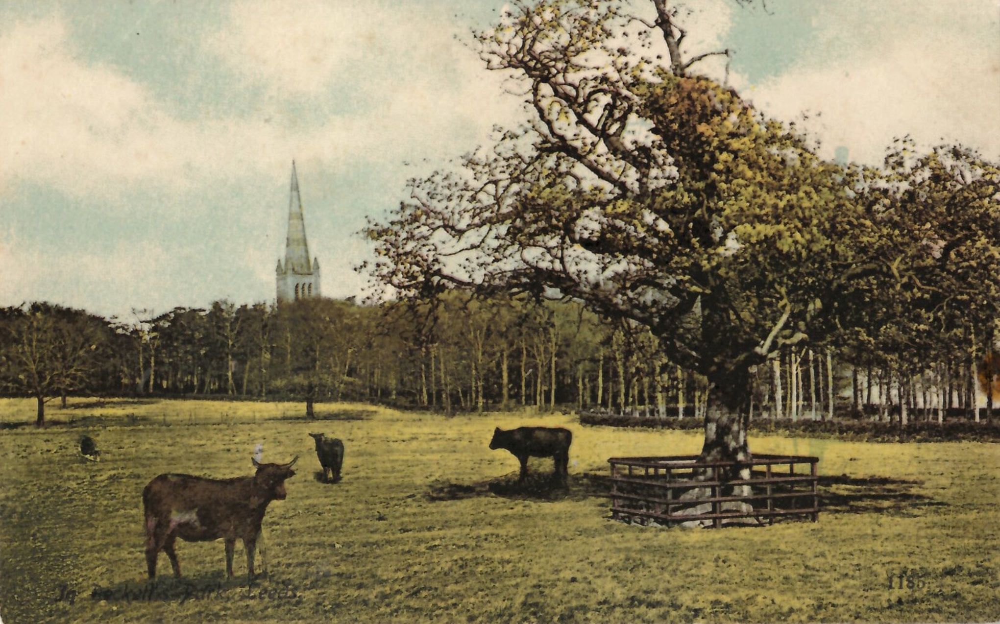 St Chad's Church, from South Lodge, Beckett Park, c1908