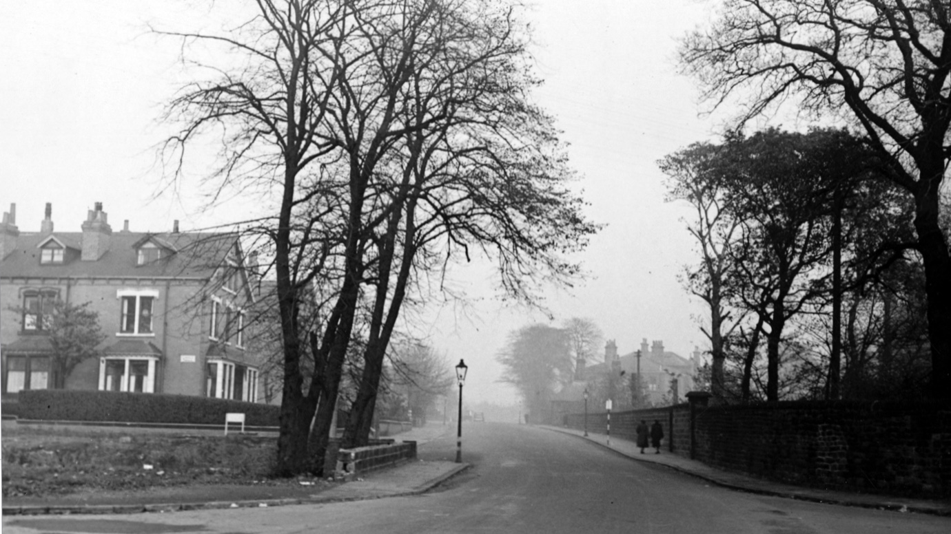 Kirkstall Lane, at Langdale Terrace, 1949