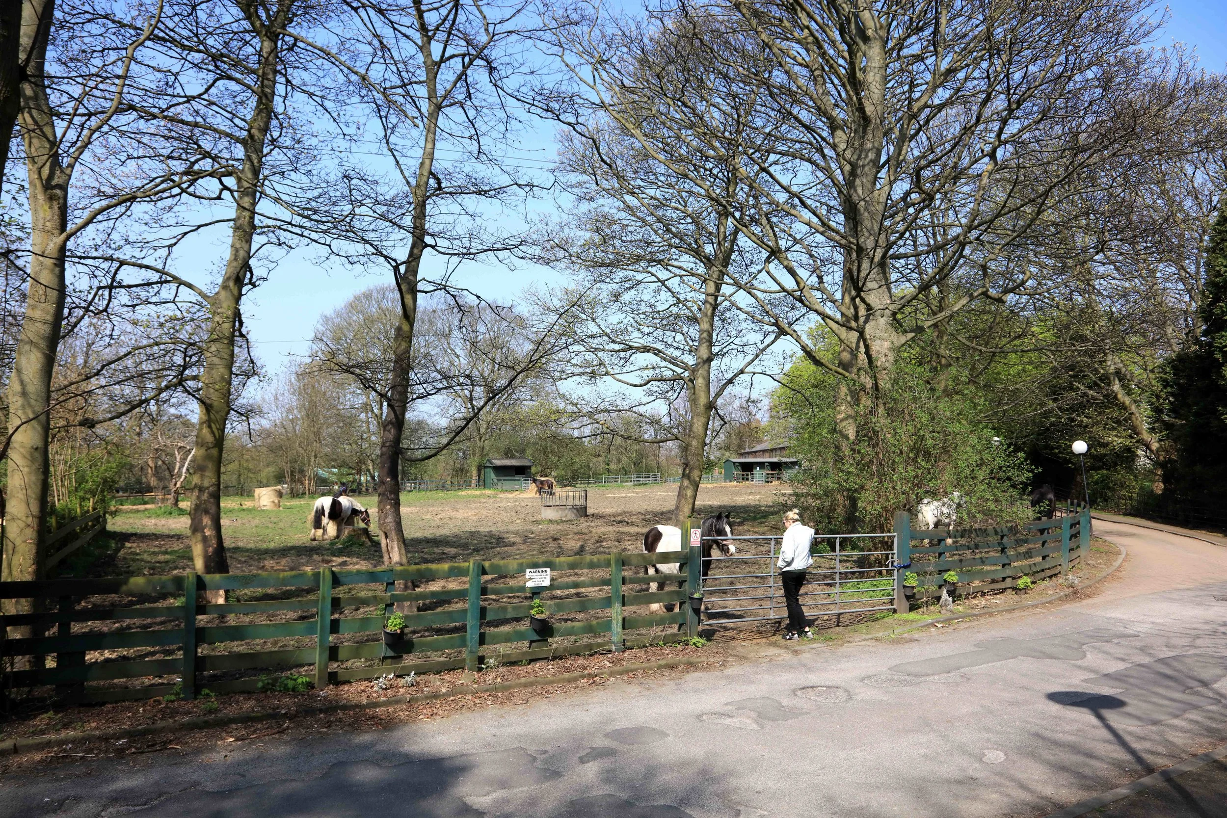 Grazing Field, Headingley Lane © JHJ