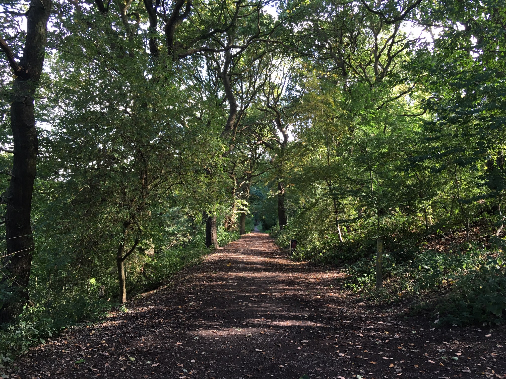 Middle Path, Woodhouse Ridge © RT