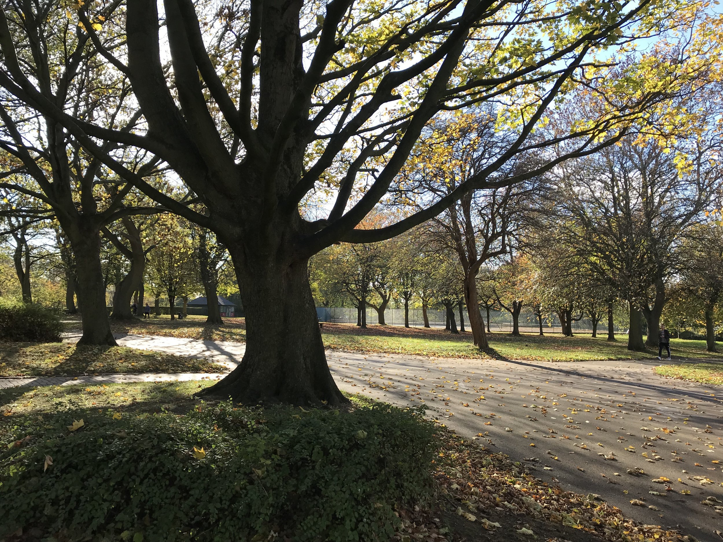 Tennis Courts, Woodhouse Moor © HP