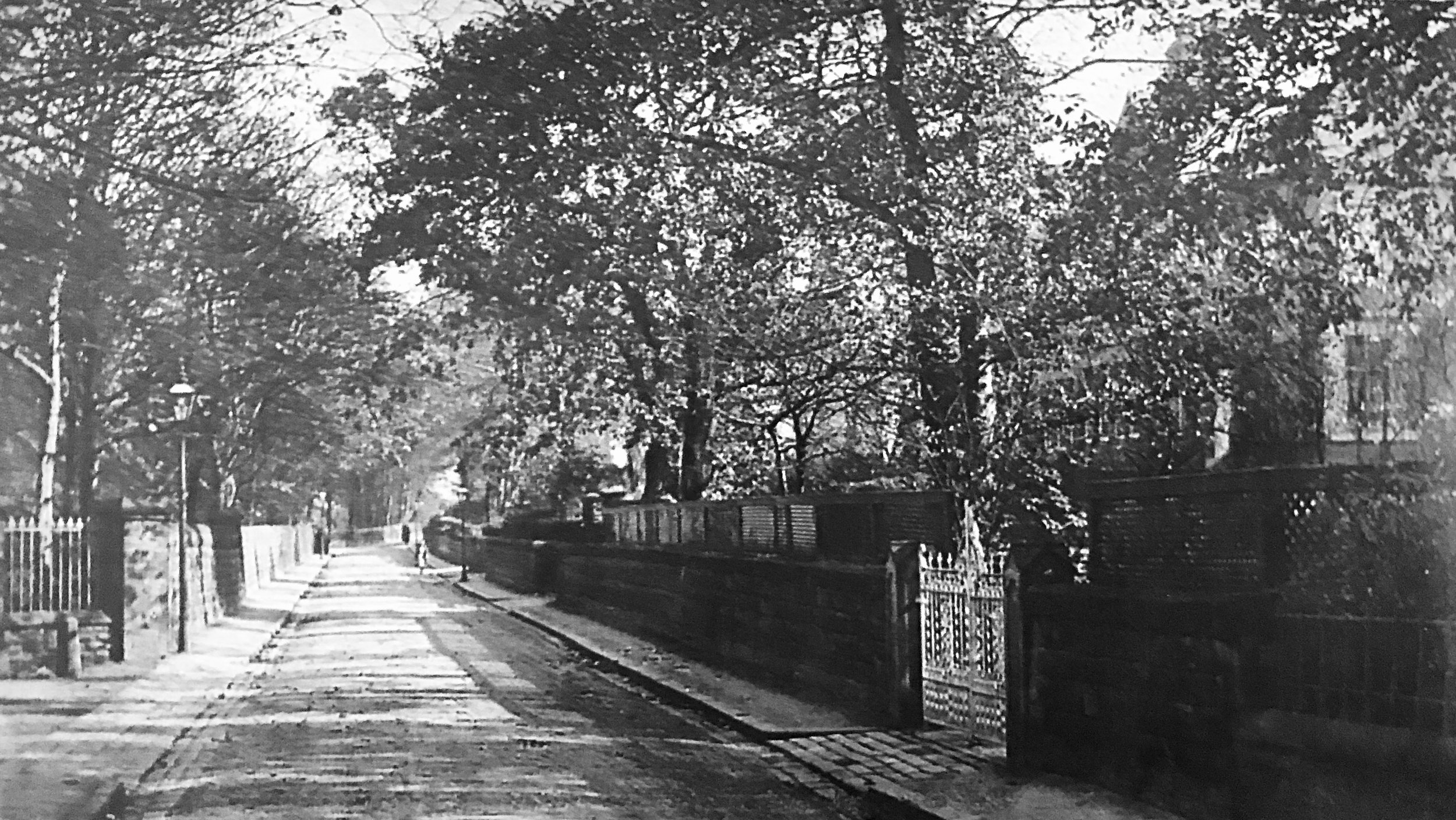 Wood Lane 1907