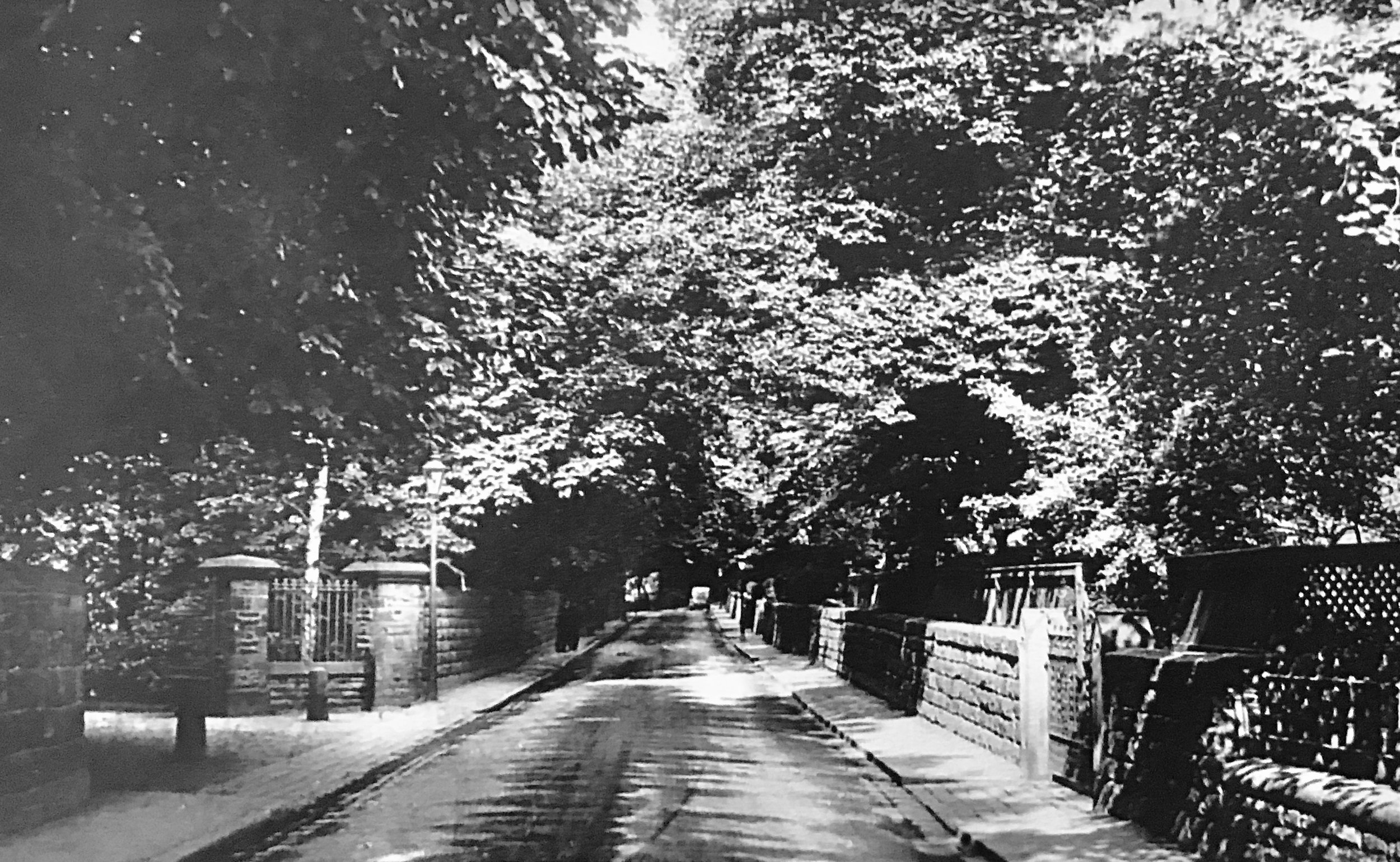 Wood Lane 1912