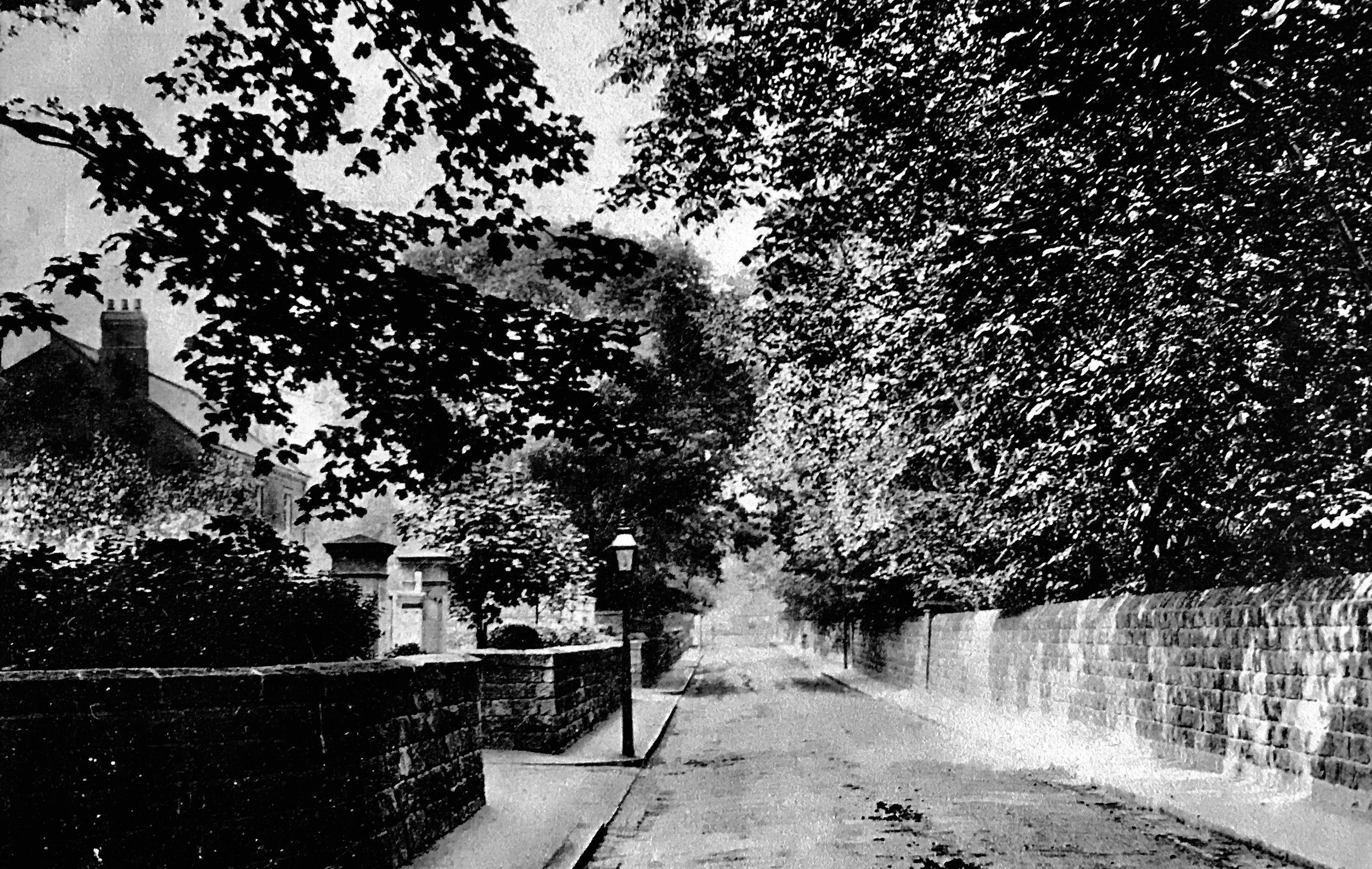 Wood Lane c1912