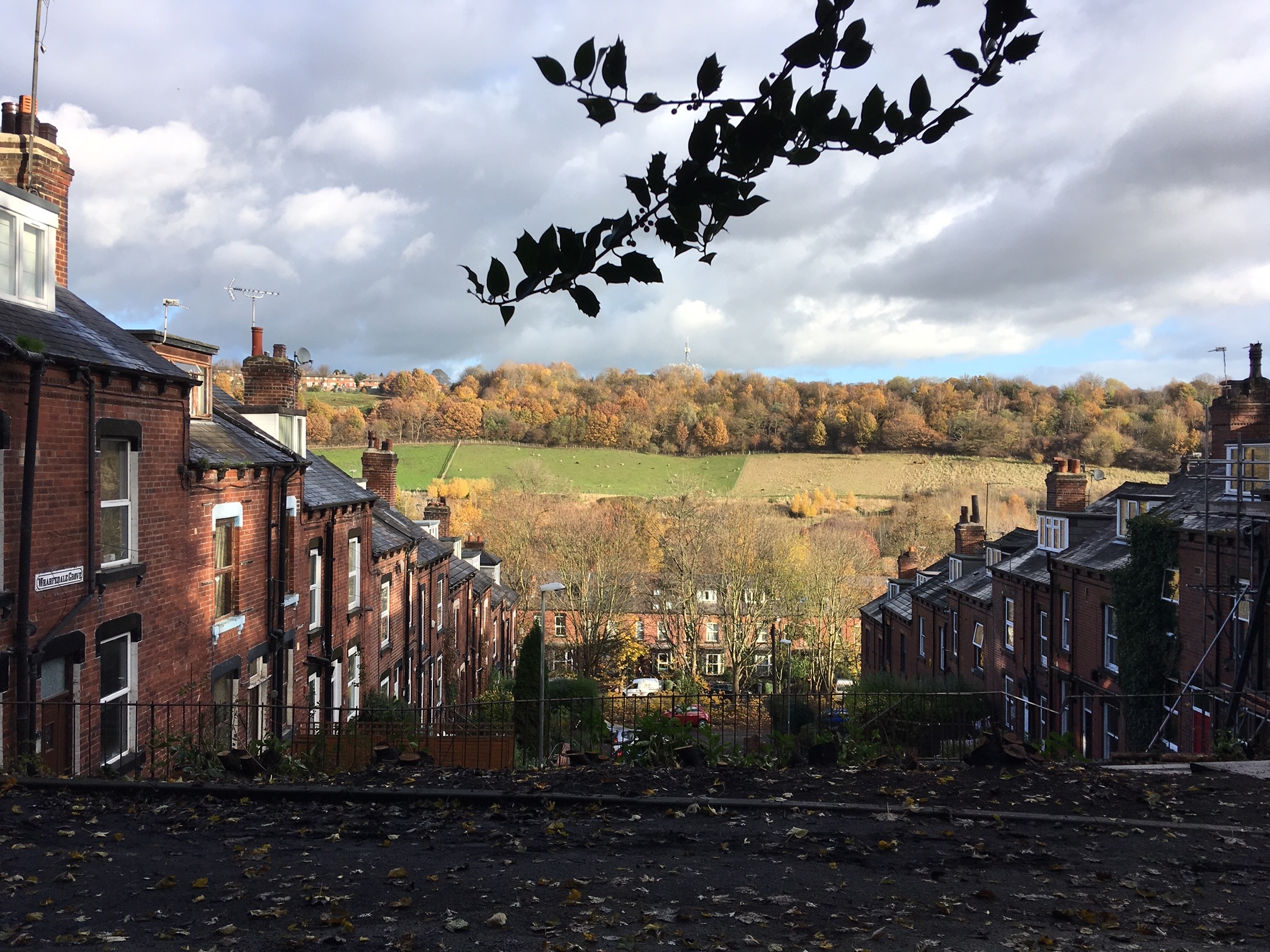 Wharfedale Grove and Meanwood Valley, from Woodhouse Ridge © RT