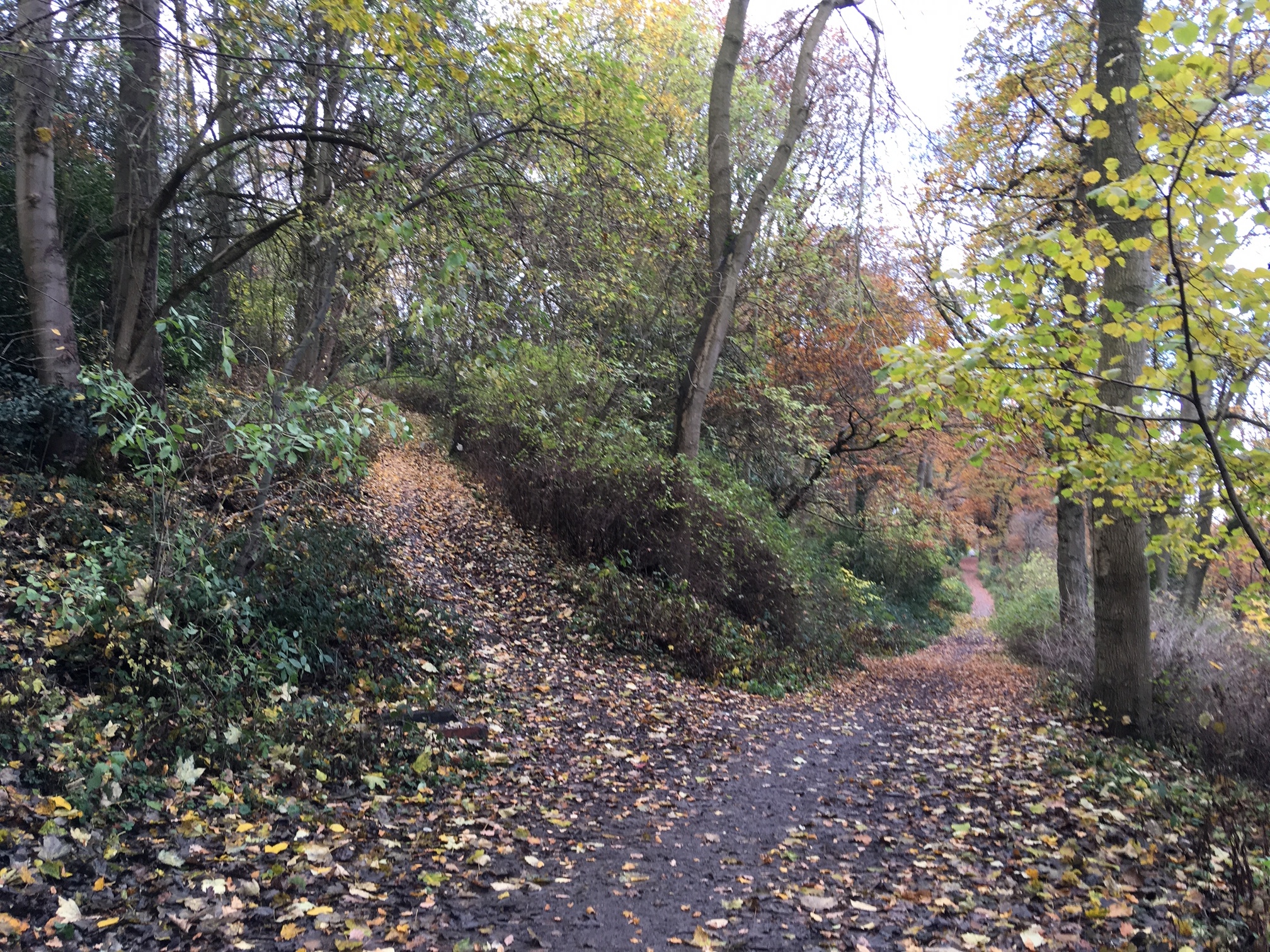 Middle Path, Woodhouse Ridge © RT