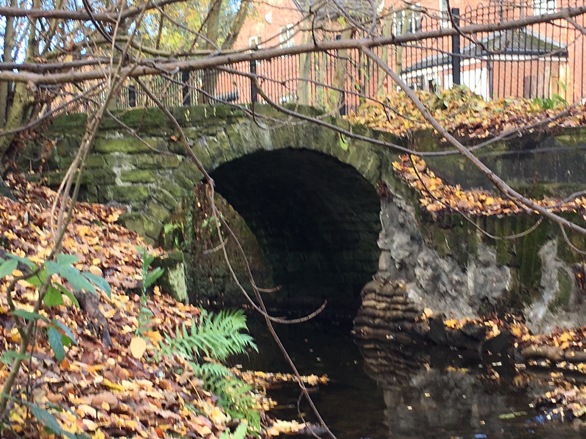 Packhorse Bridge, Meanwood Beck, below Woodhouse Ridge © RT