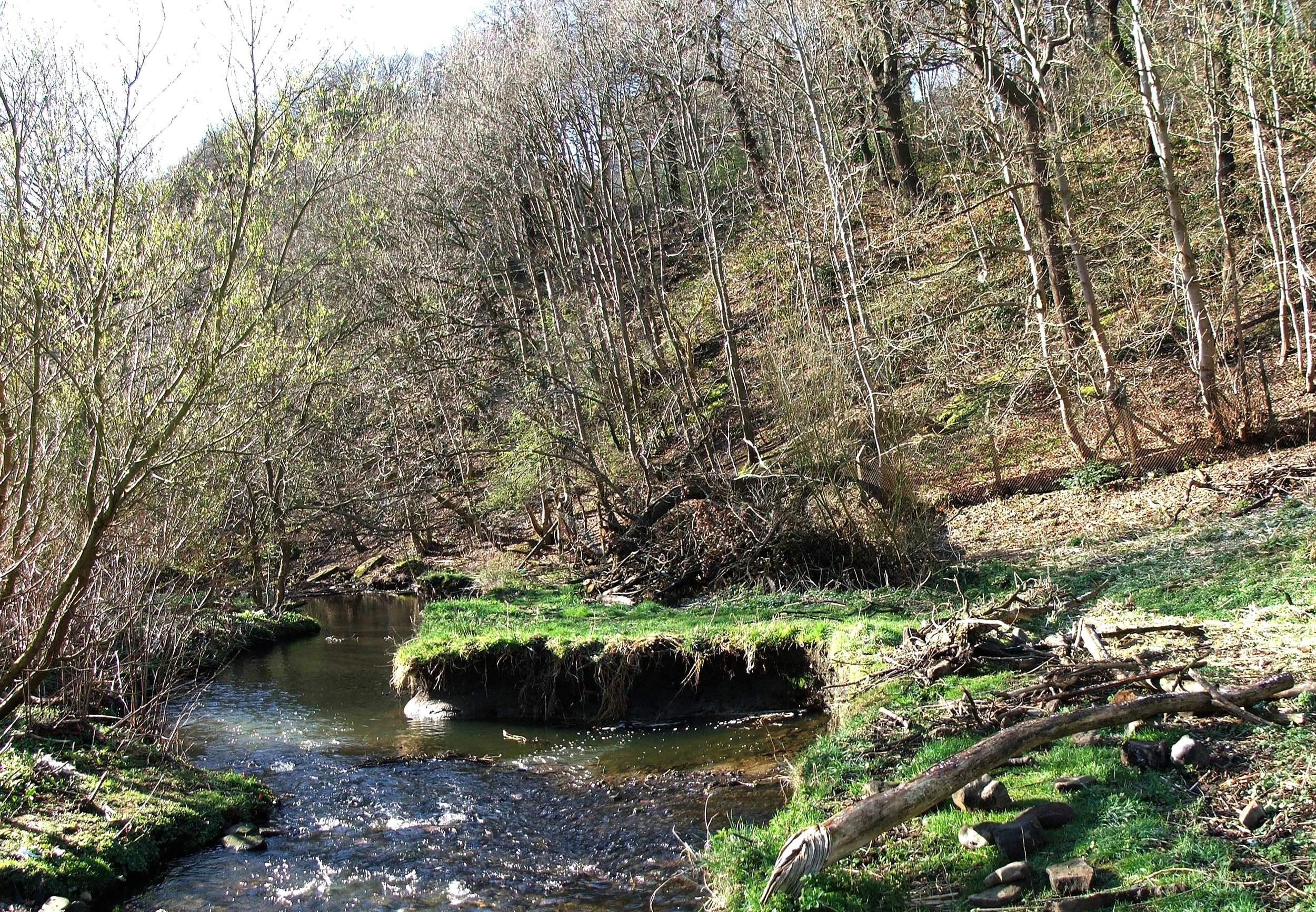 Meanwood Beck and Bottom Meadow, Woodhouse Ridge © NL