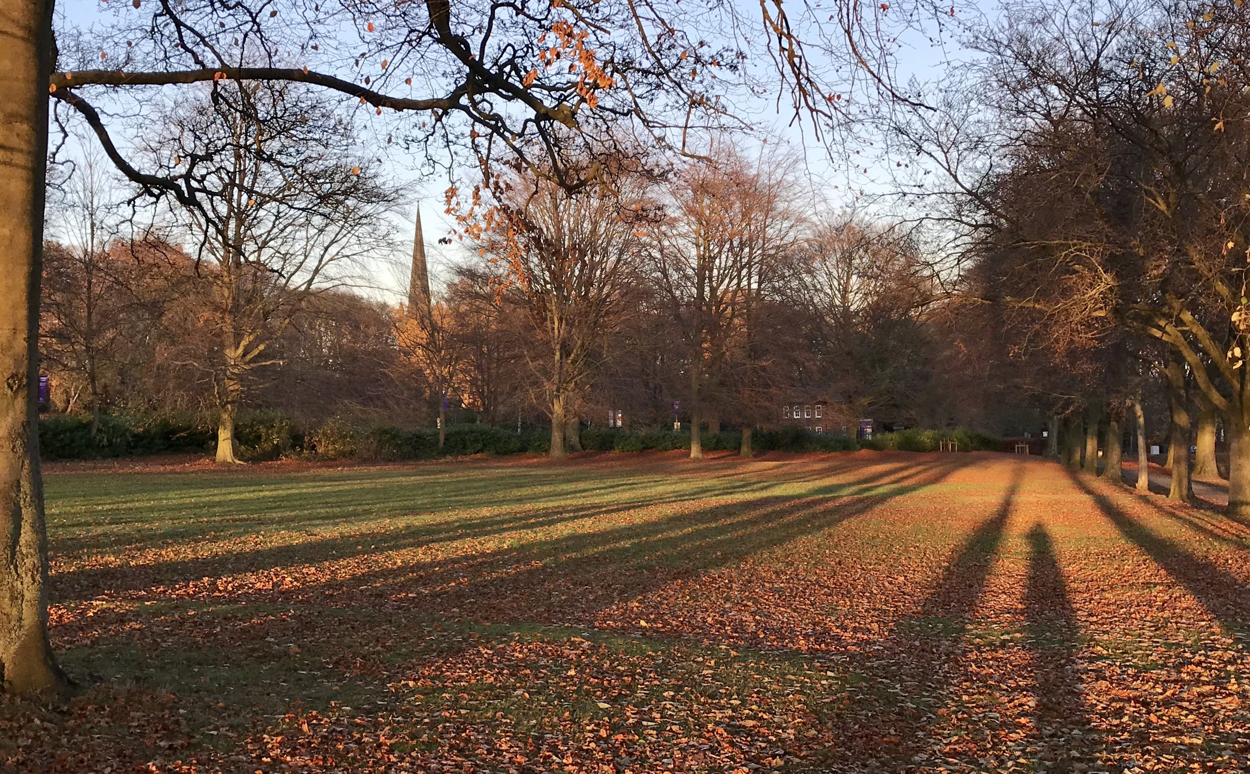 Beckett Park, towards St Chad's Church 2 © HP