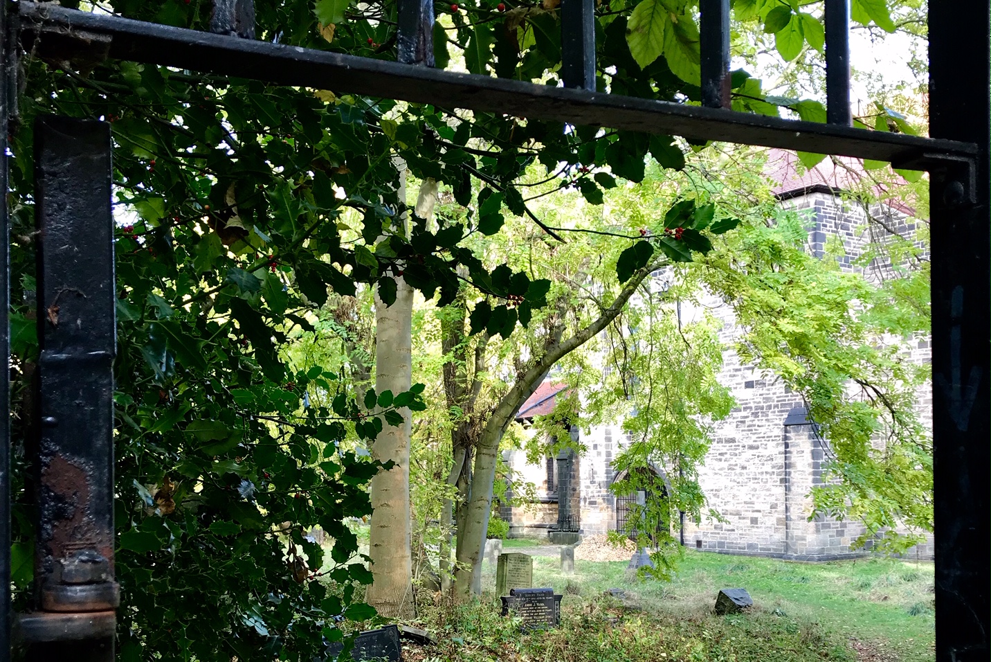 St Chad's Church from Church Wood © HP