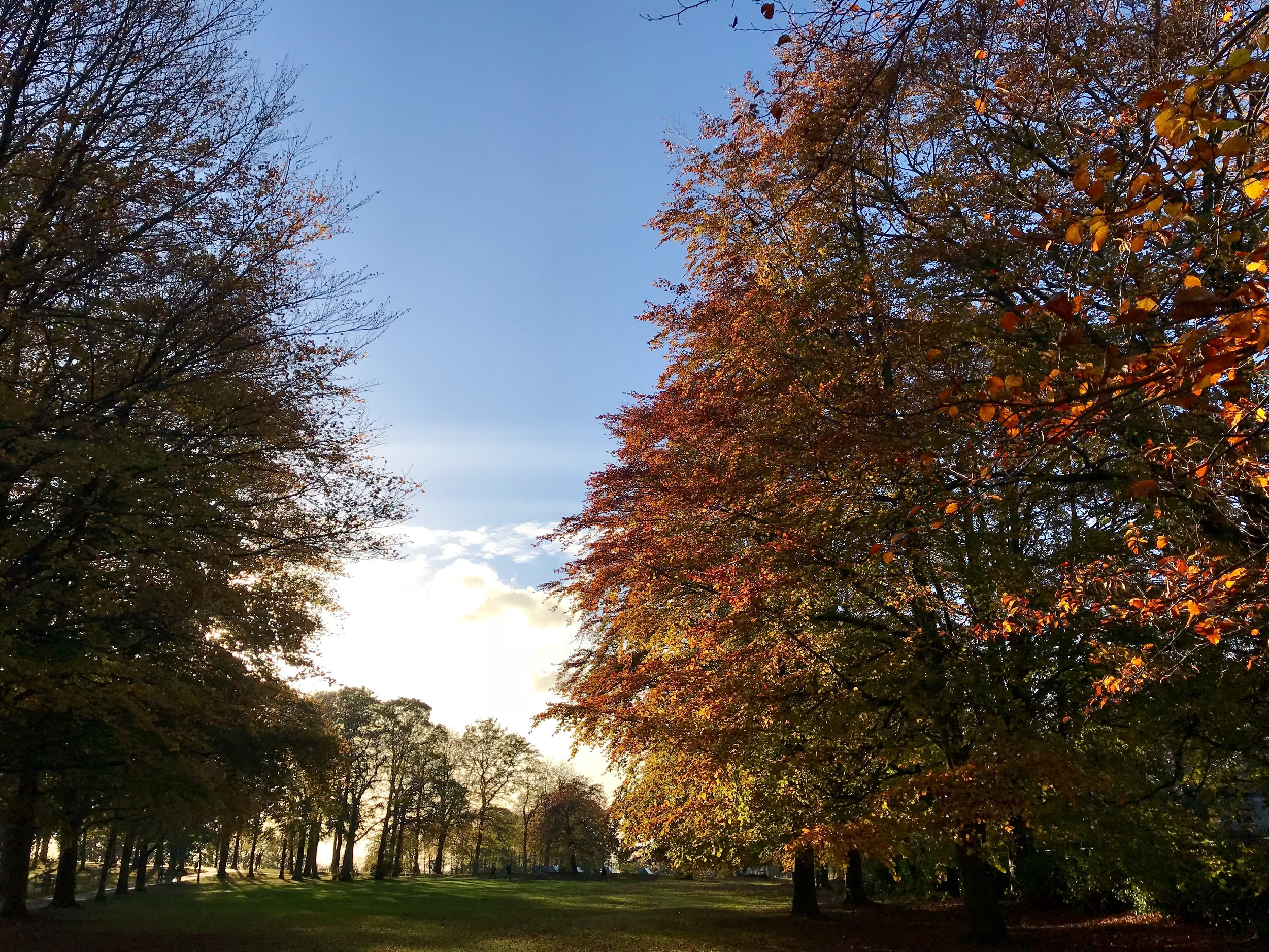 Beckett Park © HP