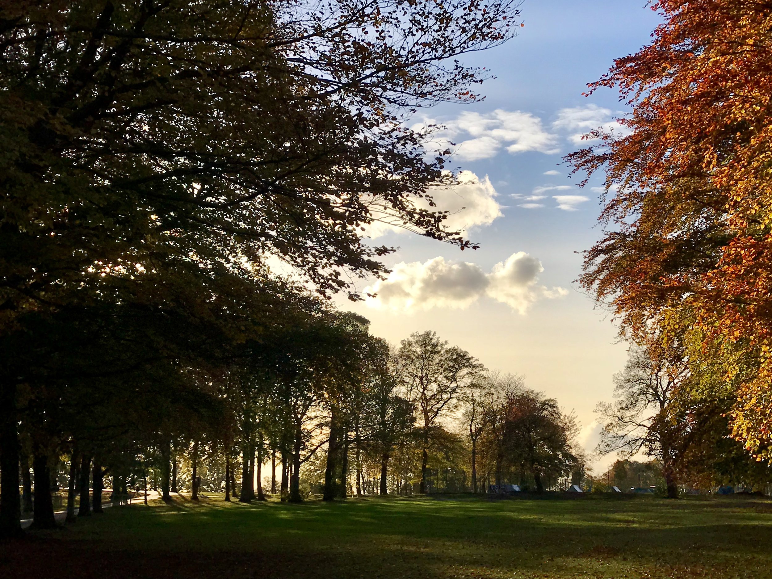 Beckett Park © HP