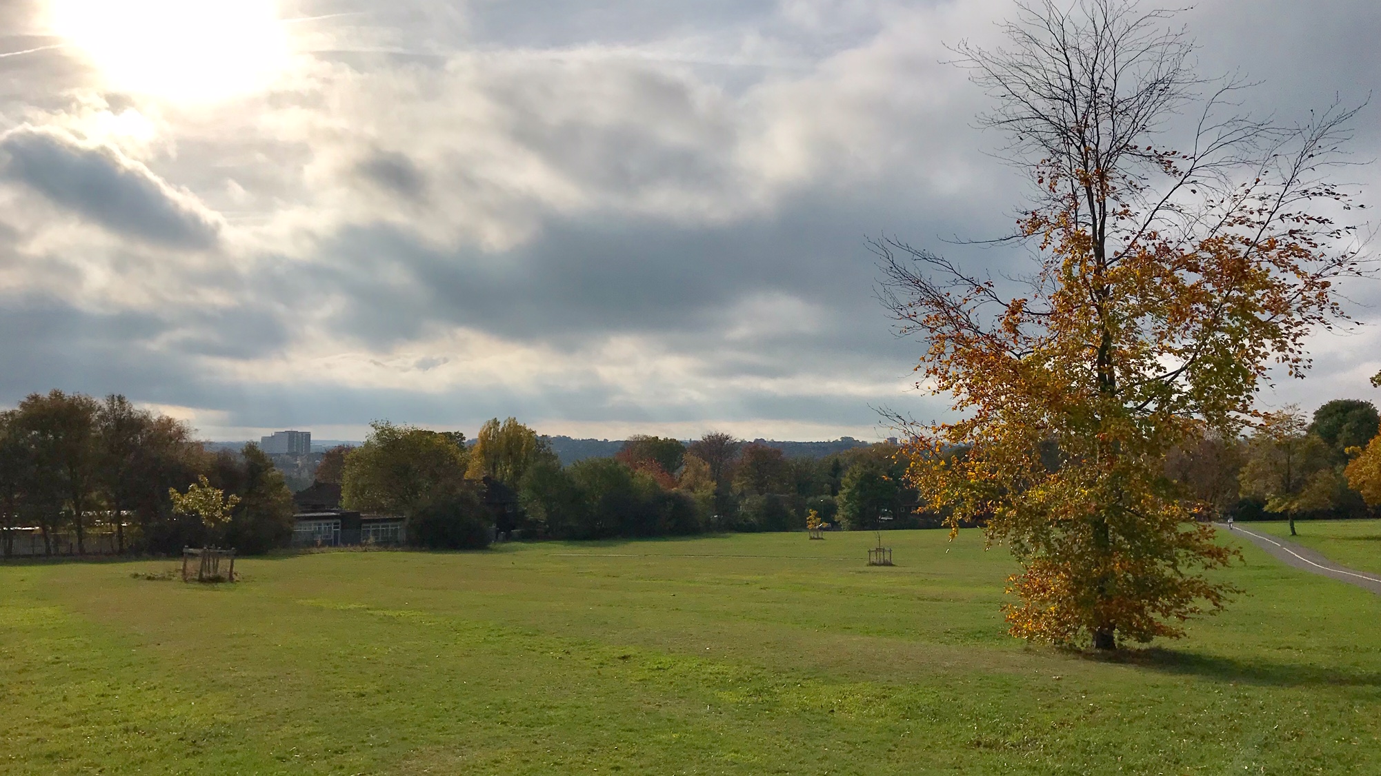 Beckett Park, towards Kirkstall 1 © HP