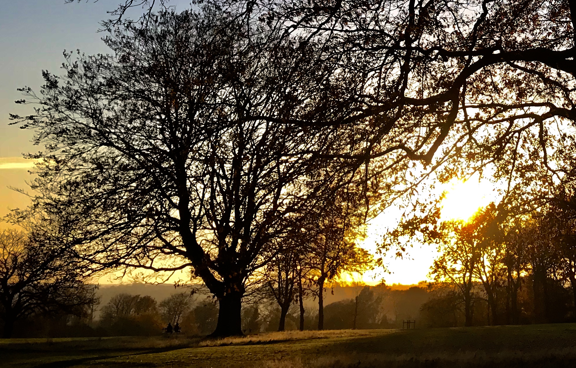 Beckett Park, towards Kirkstall © HP