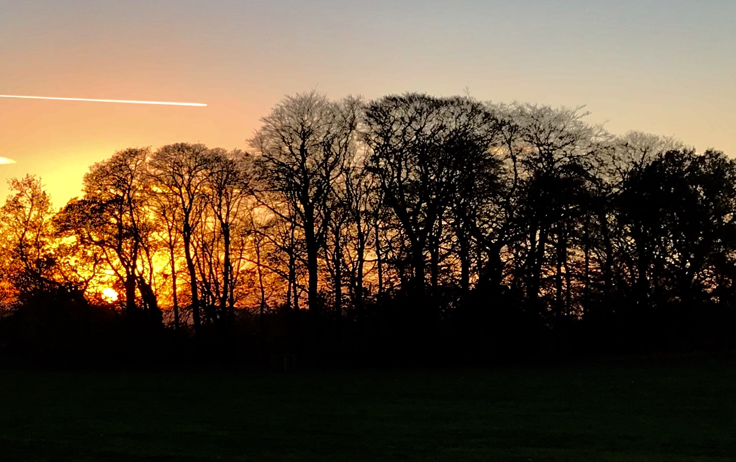 Beckett Park © HP