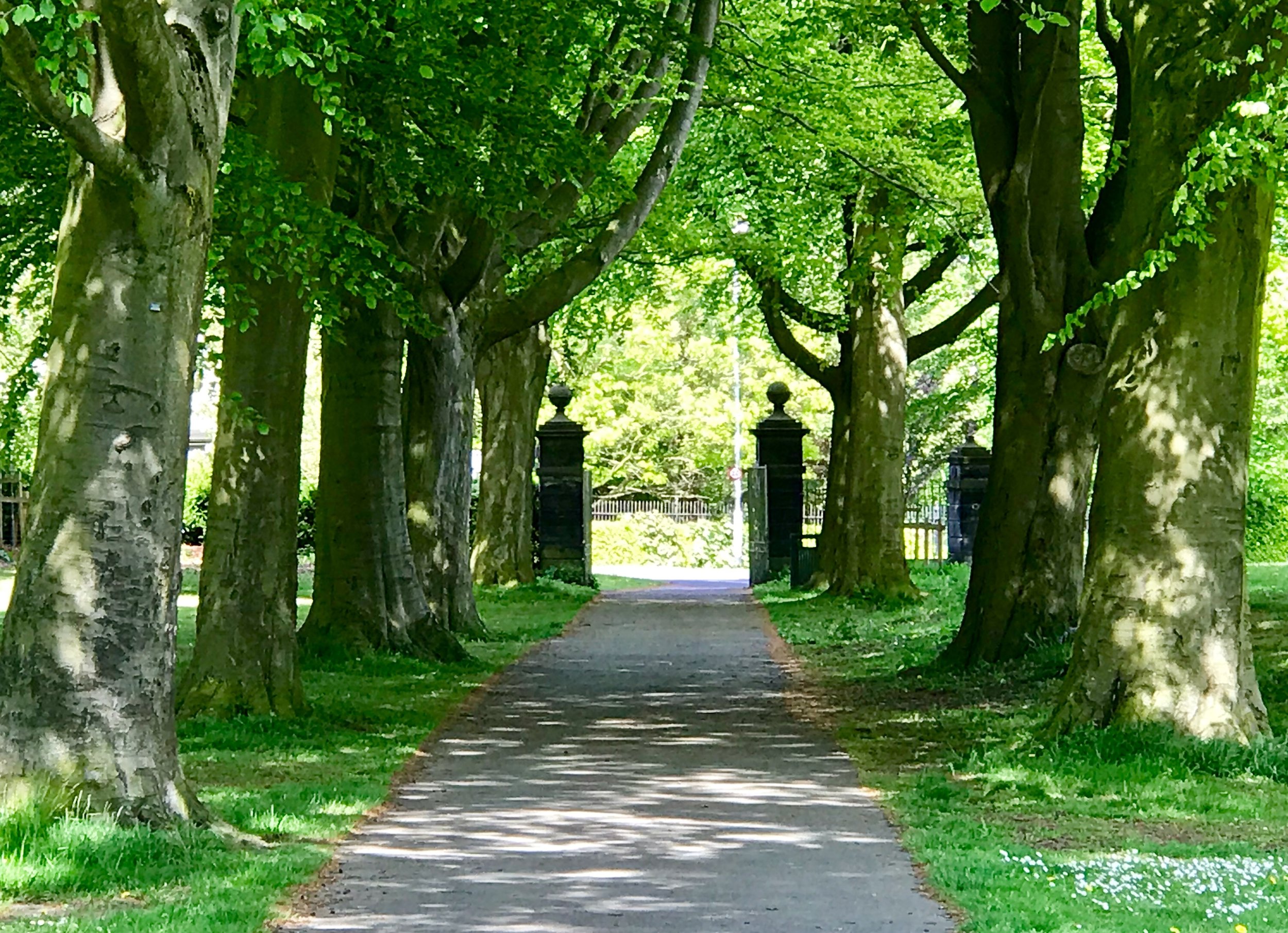 St Chad's Drive Entrance to Beckett Park © HP