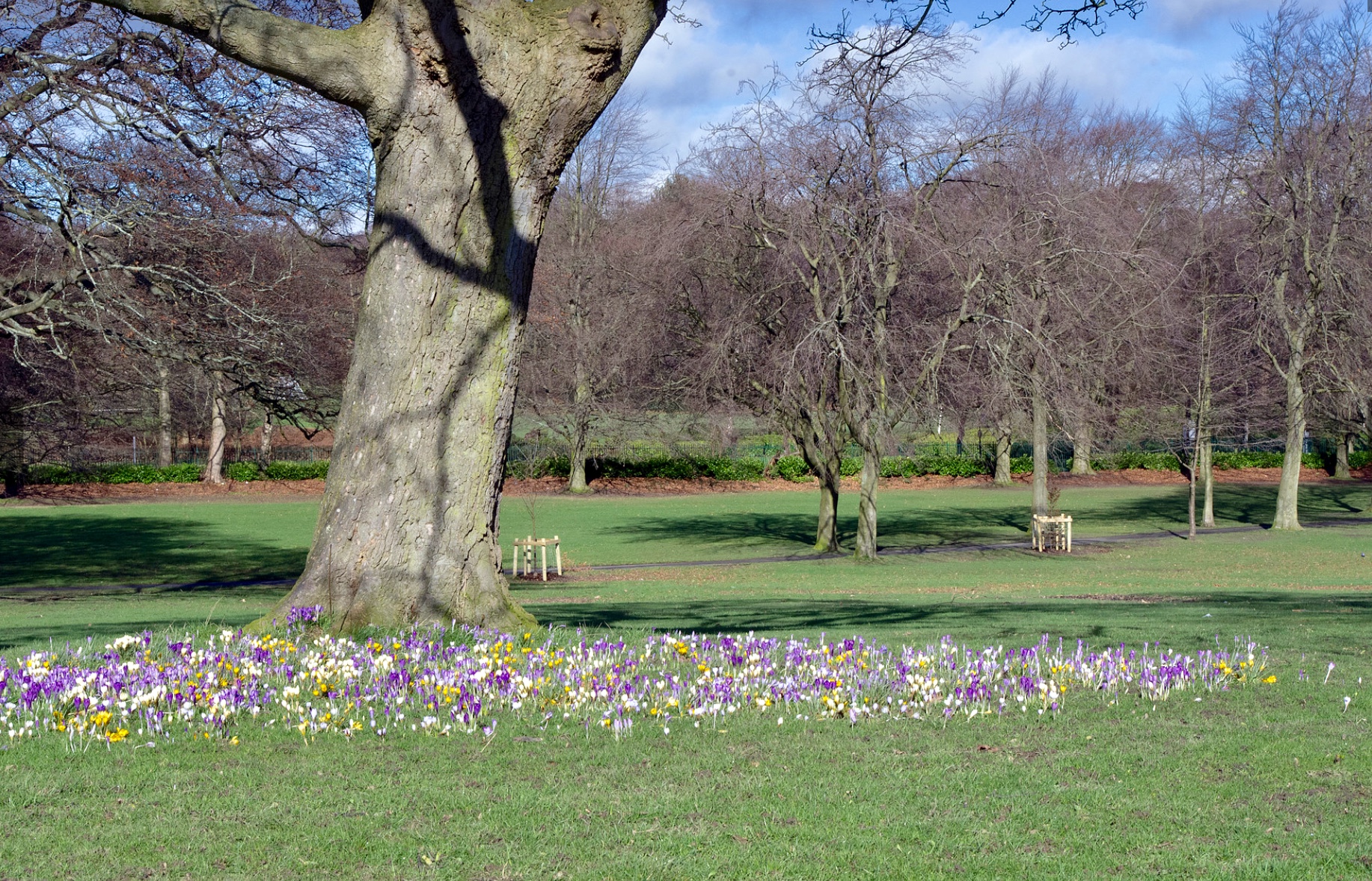 Beckett Park © FOBP