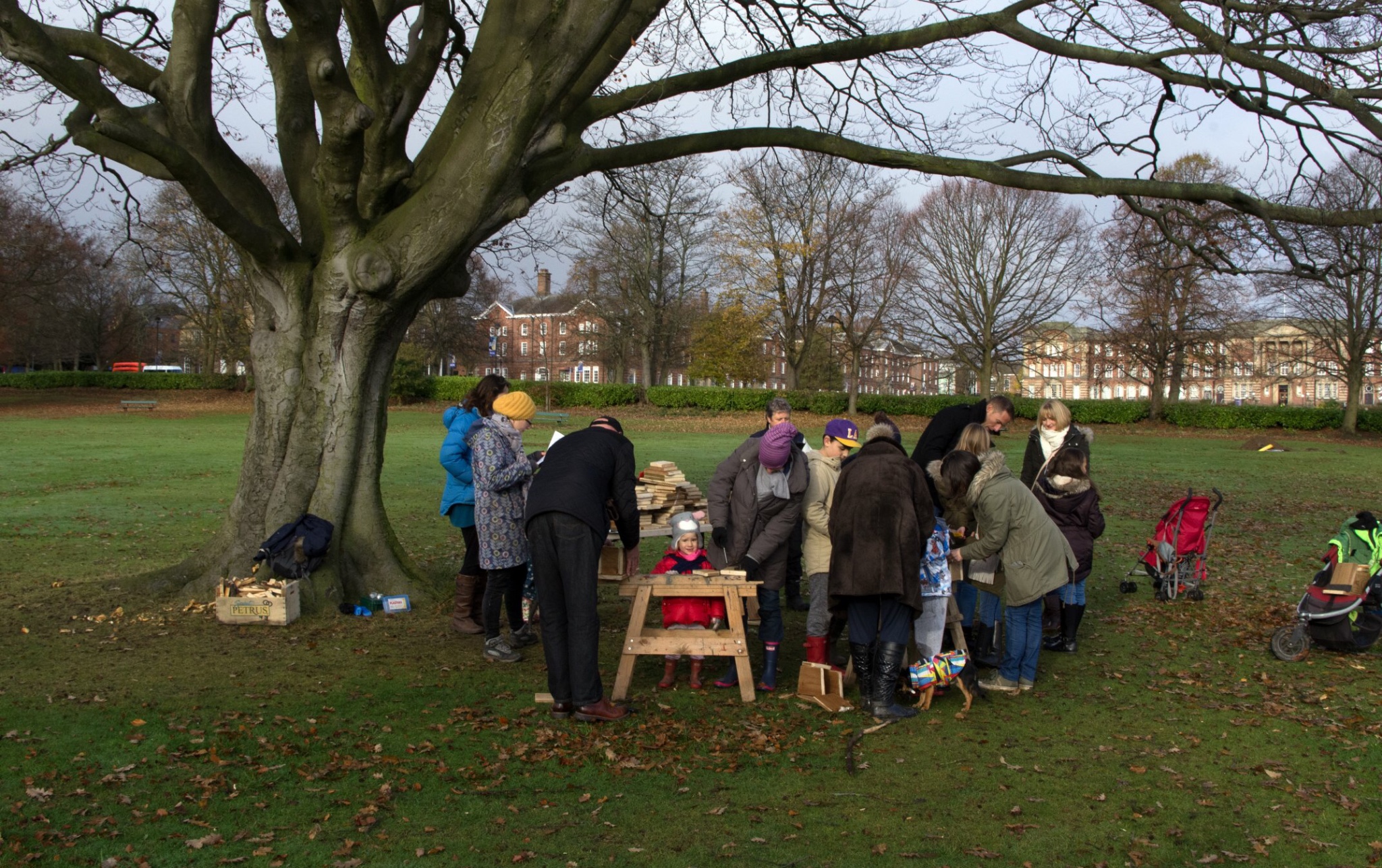 Beckett Park © FOBP