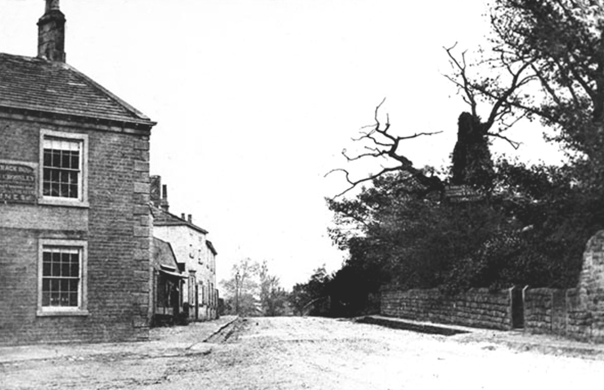 Skyrack and Shire Oak, circa 1852