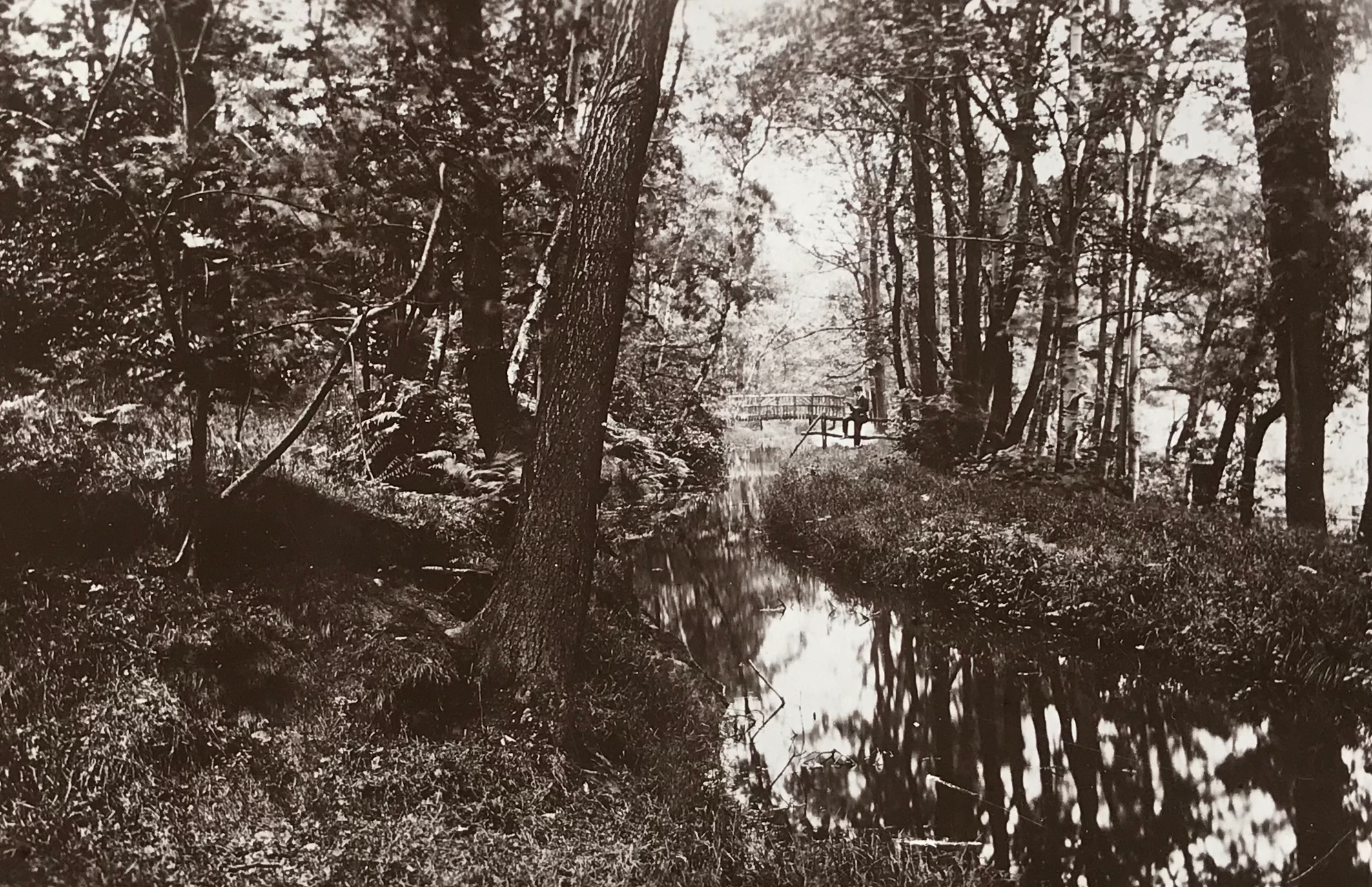 The Hollies, Bridge over Mill Stream, circa 1920s