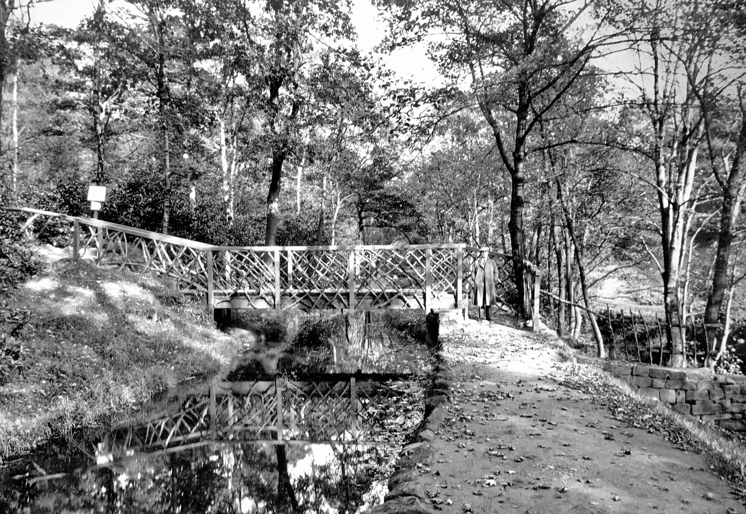 The Hollies, Bridge over Mill Stream, 1936