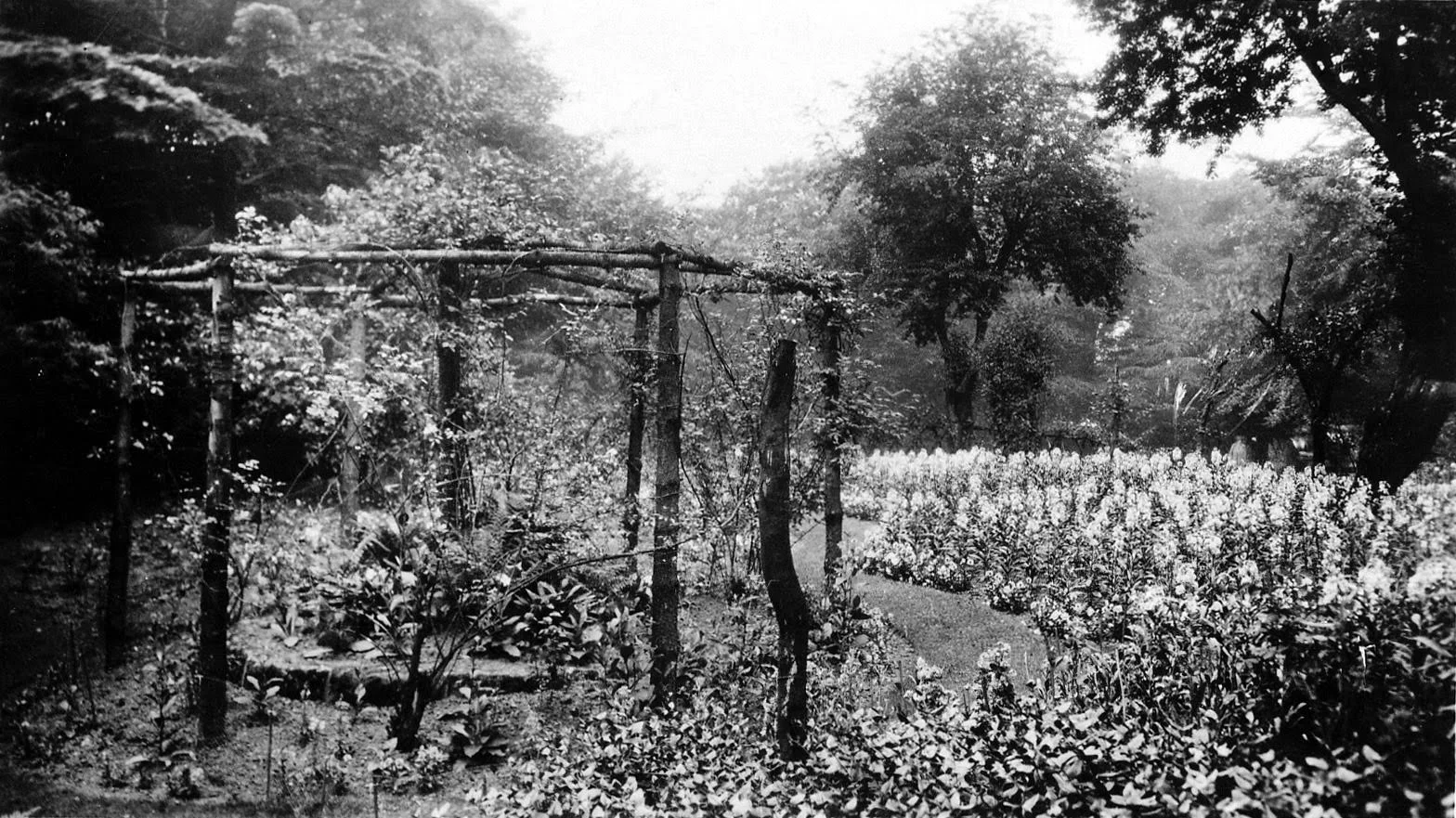 The Hollies, the Old Garden, 1928