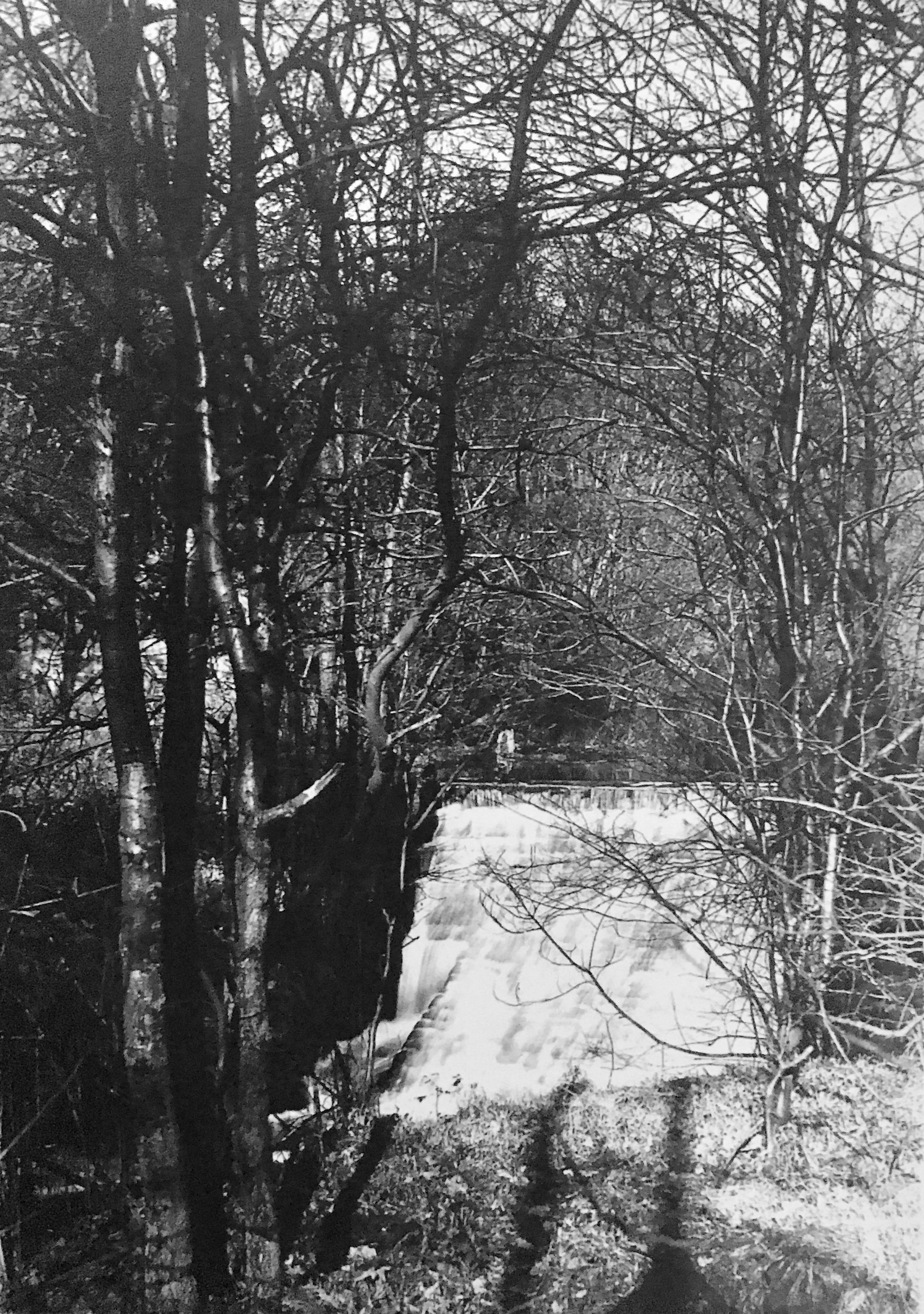 Meanwood Beck with Weir, 1887