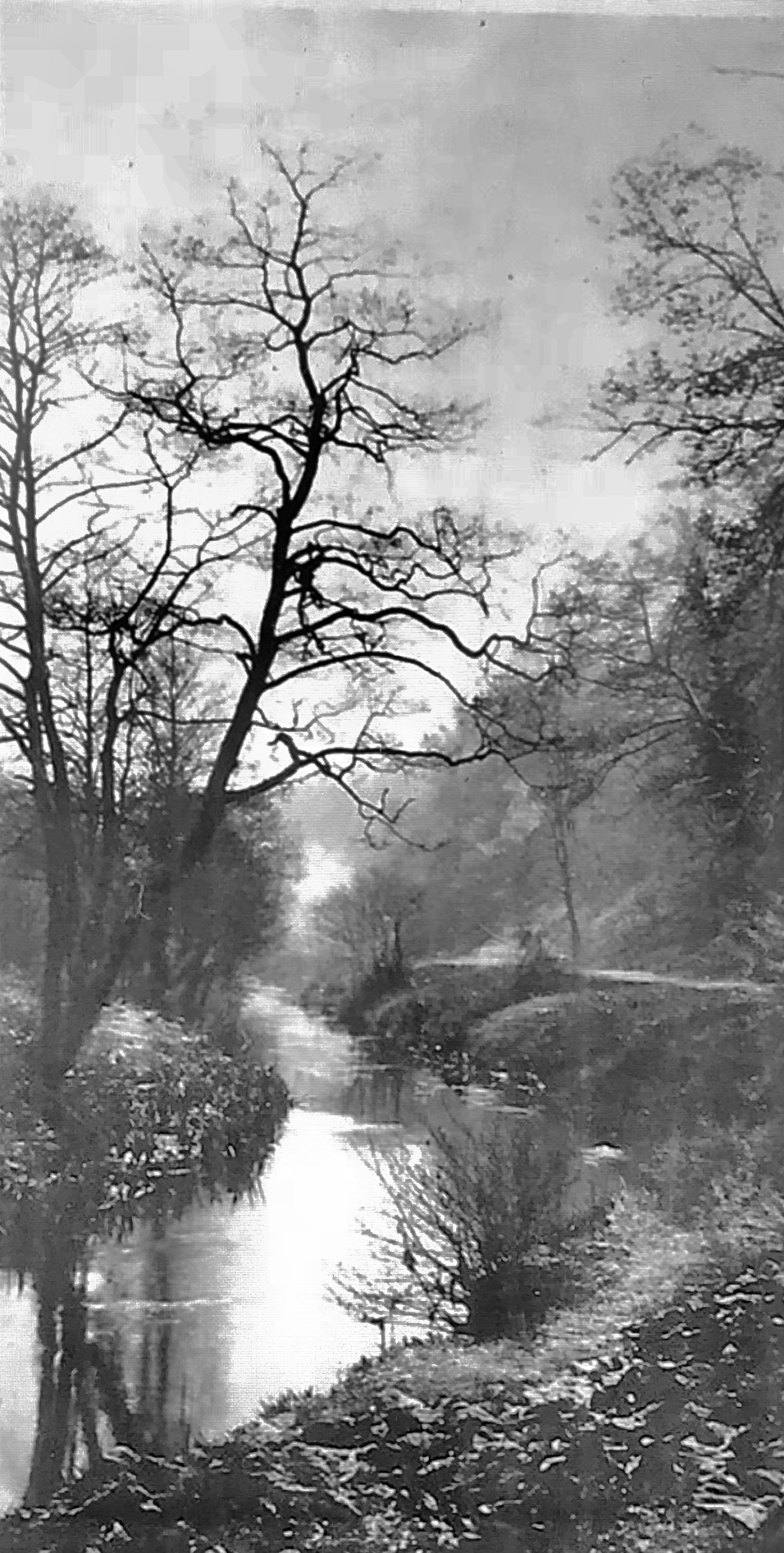 Meanwood Beck, Circa 1906