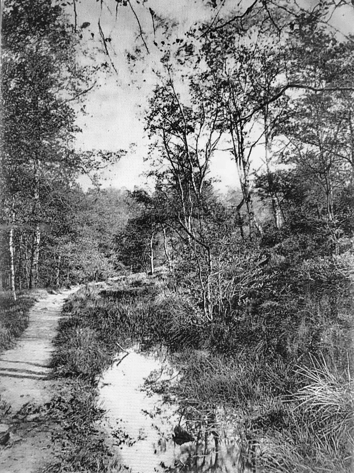 Meanwood Beck, Circa 1910