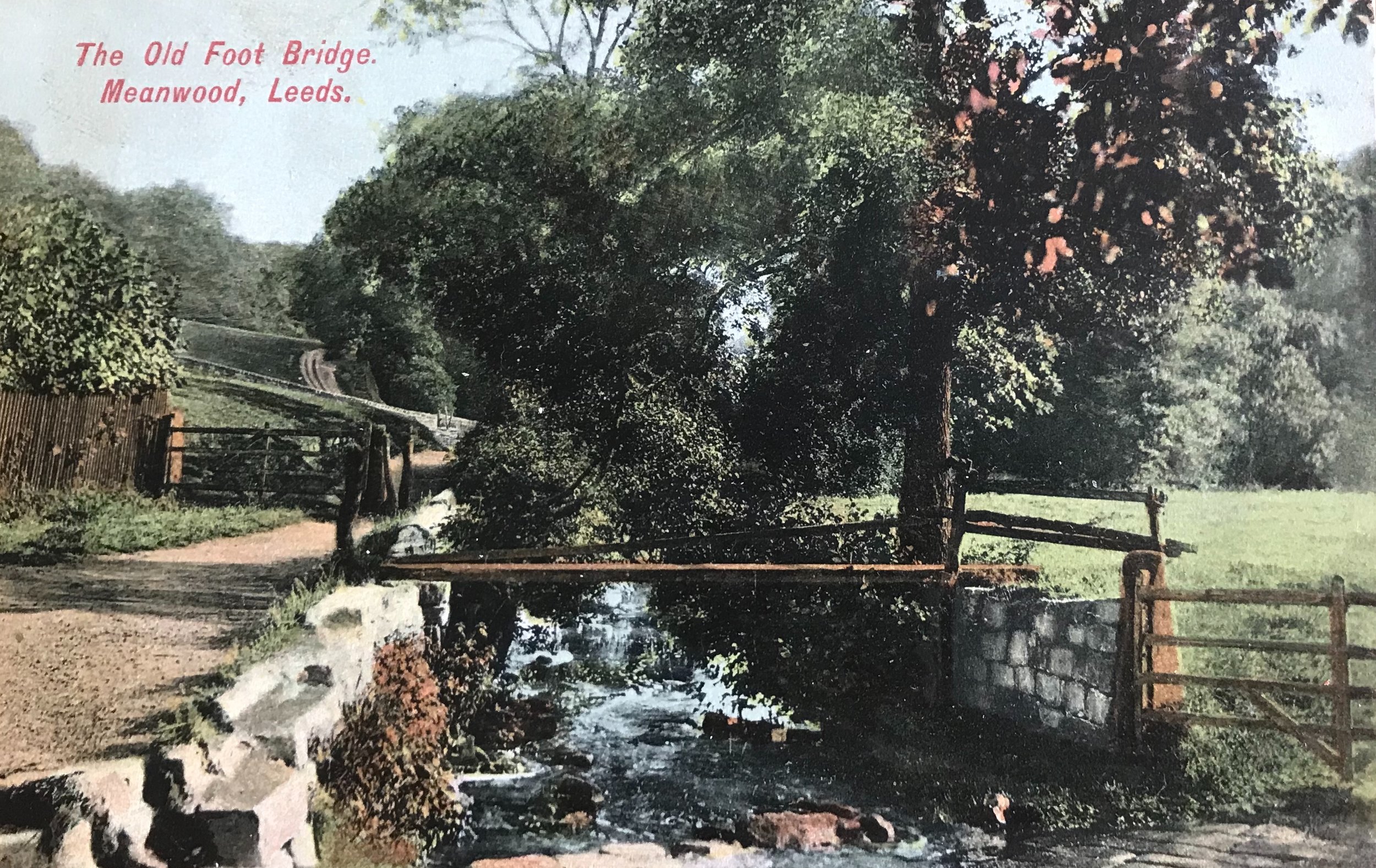 Meanwood Beck, Circa 1905