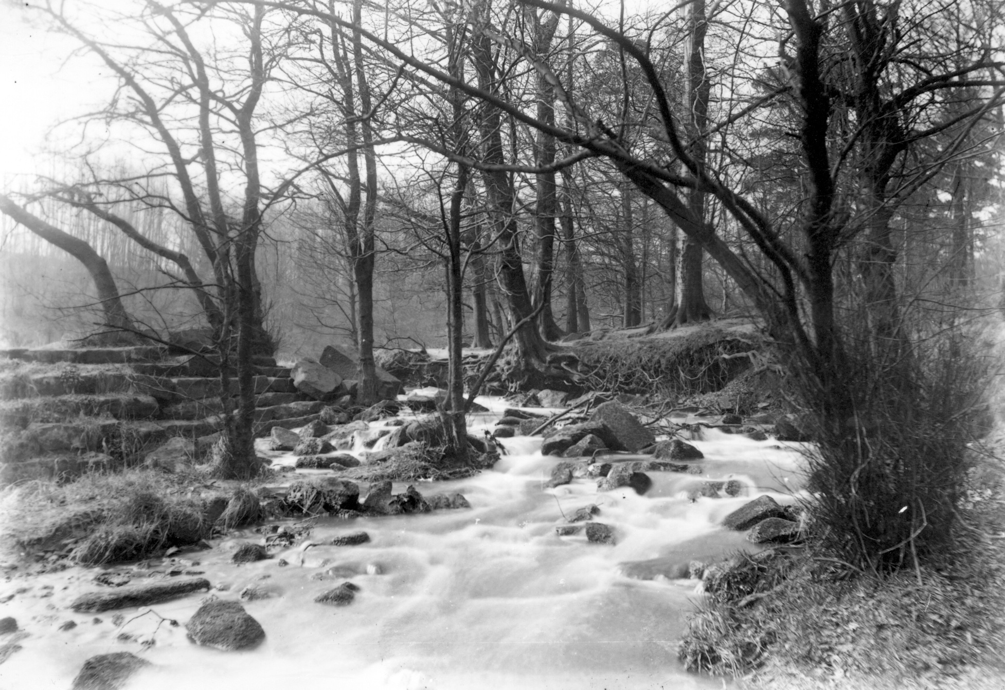 Meanwood Beck, Early 1900s