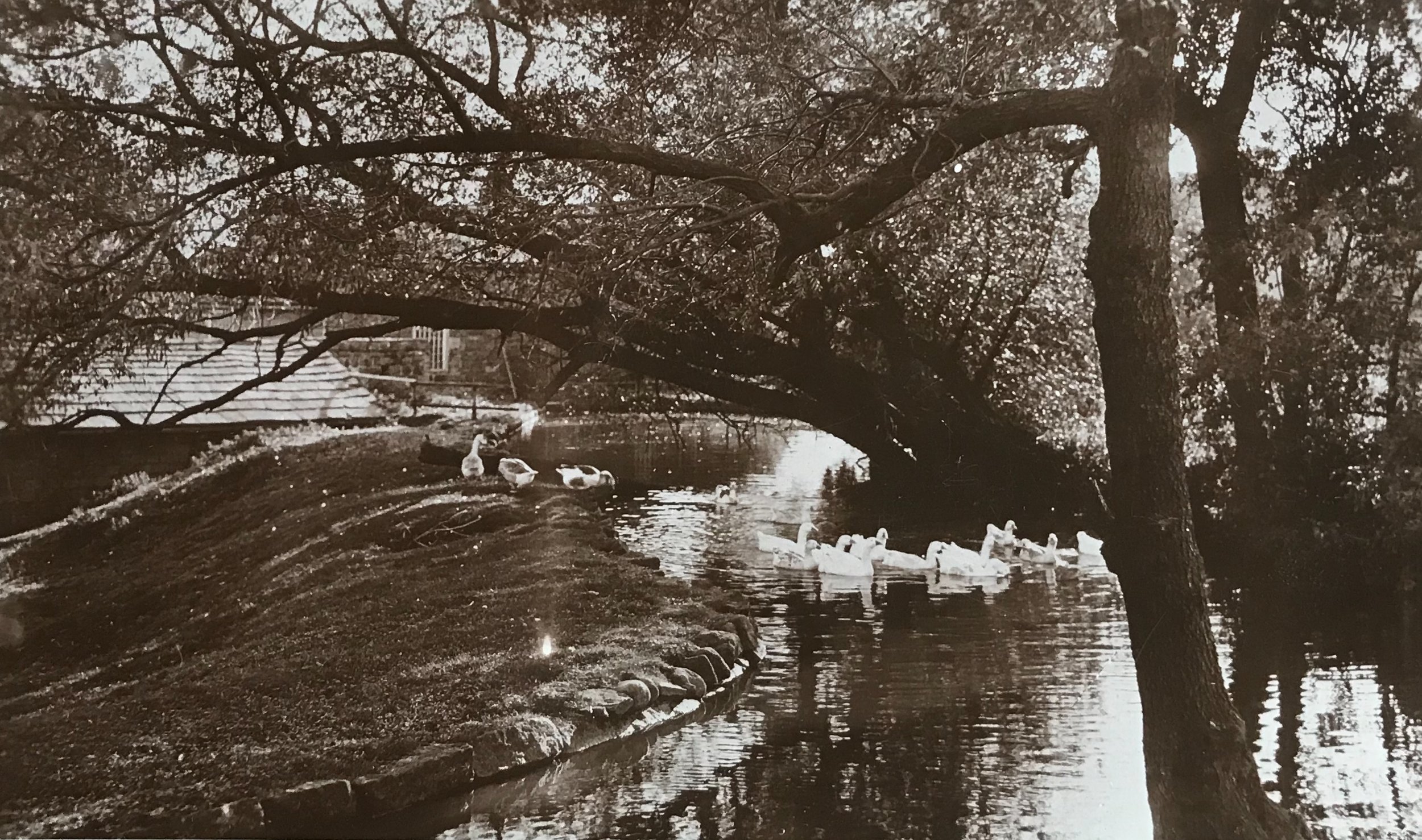 Whalley Dam, Early 1900s