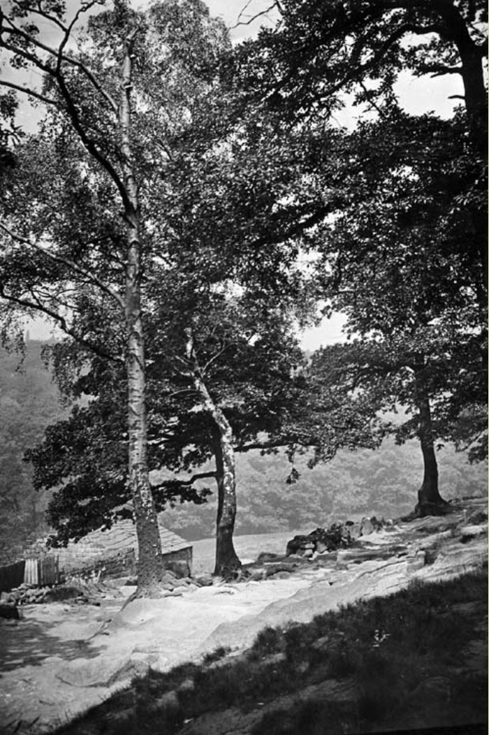 Path into Meanwood Woods, Early 1900s