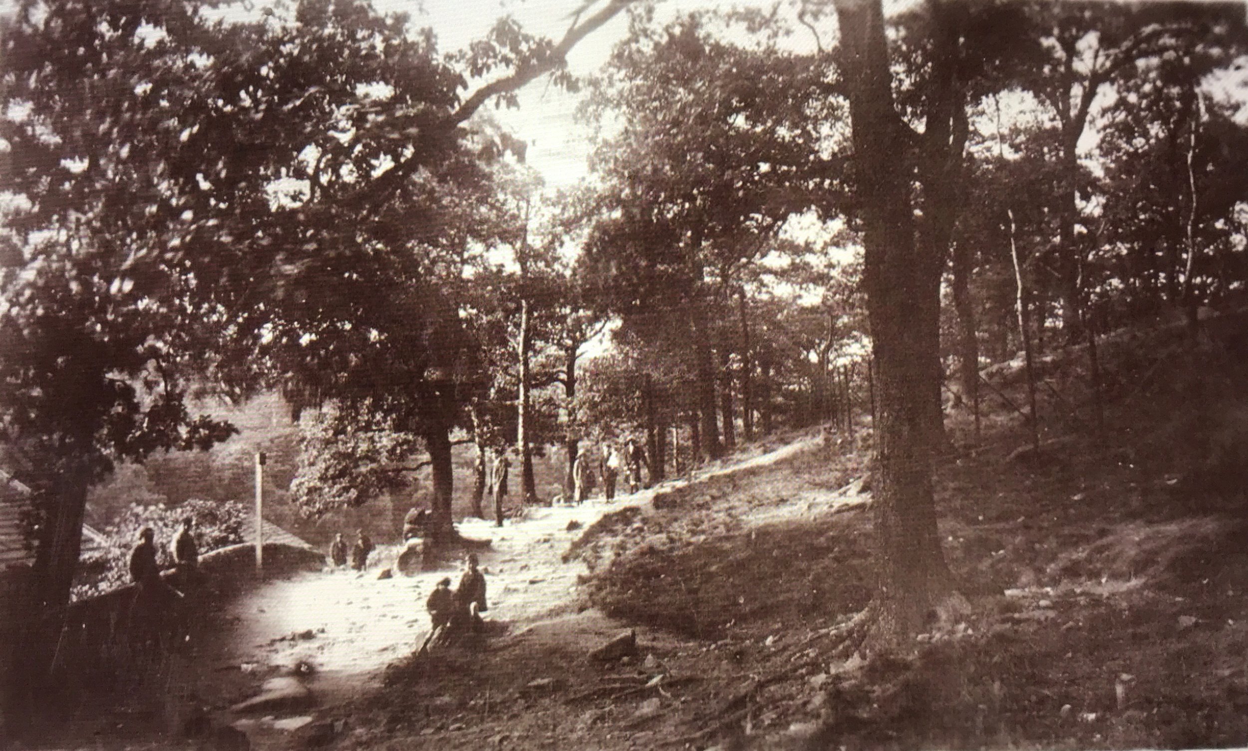 Path past Hustler's Row and to the Quarry, Early 1900s