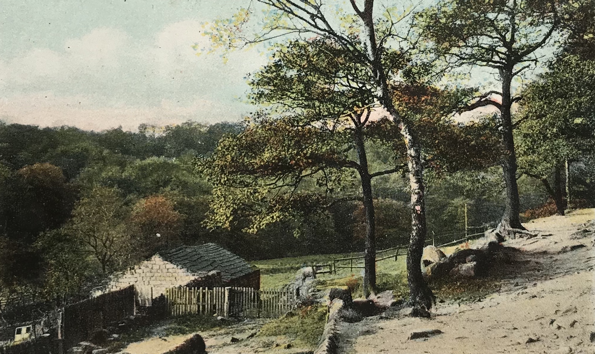 Path into Meanwood Woods, 1929
