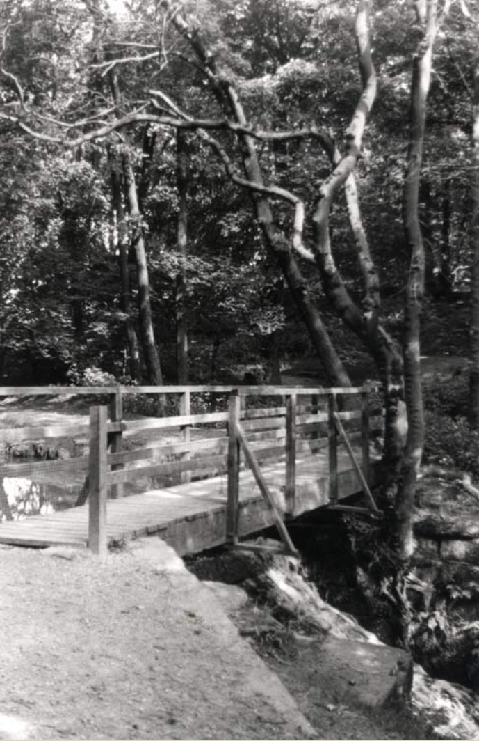 Wooden Bridge over Meanwood Beck, 1986