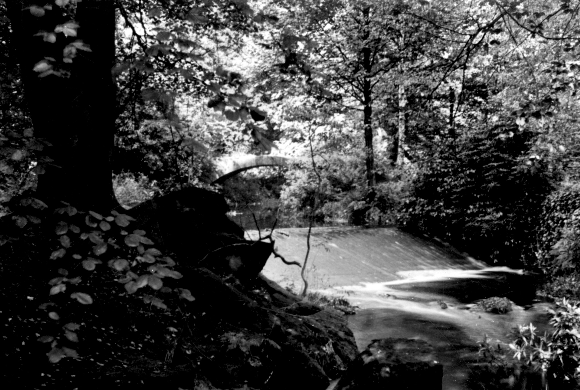 Venetian Bridge and Weir, American Garden, 1985