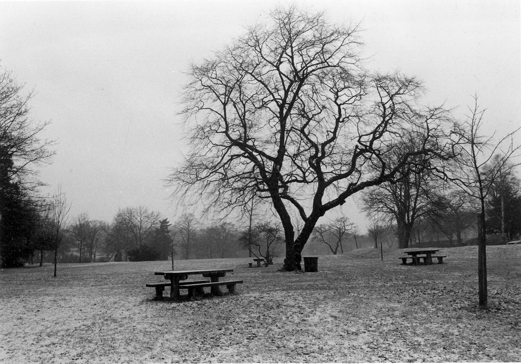Meanwood Park with Picnic Tables, 1986