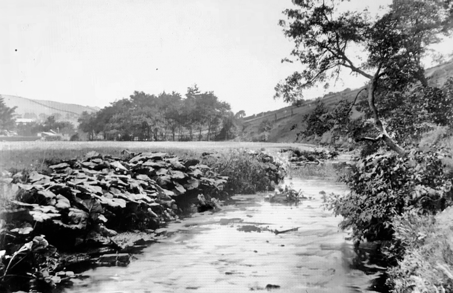 Meanwood Valley, down Meanwood Beck, 1889
