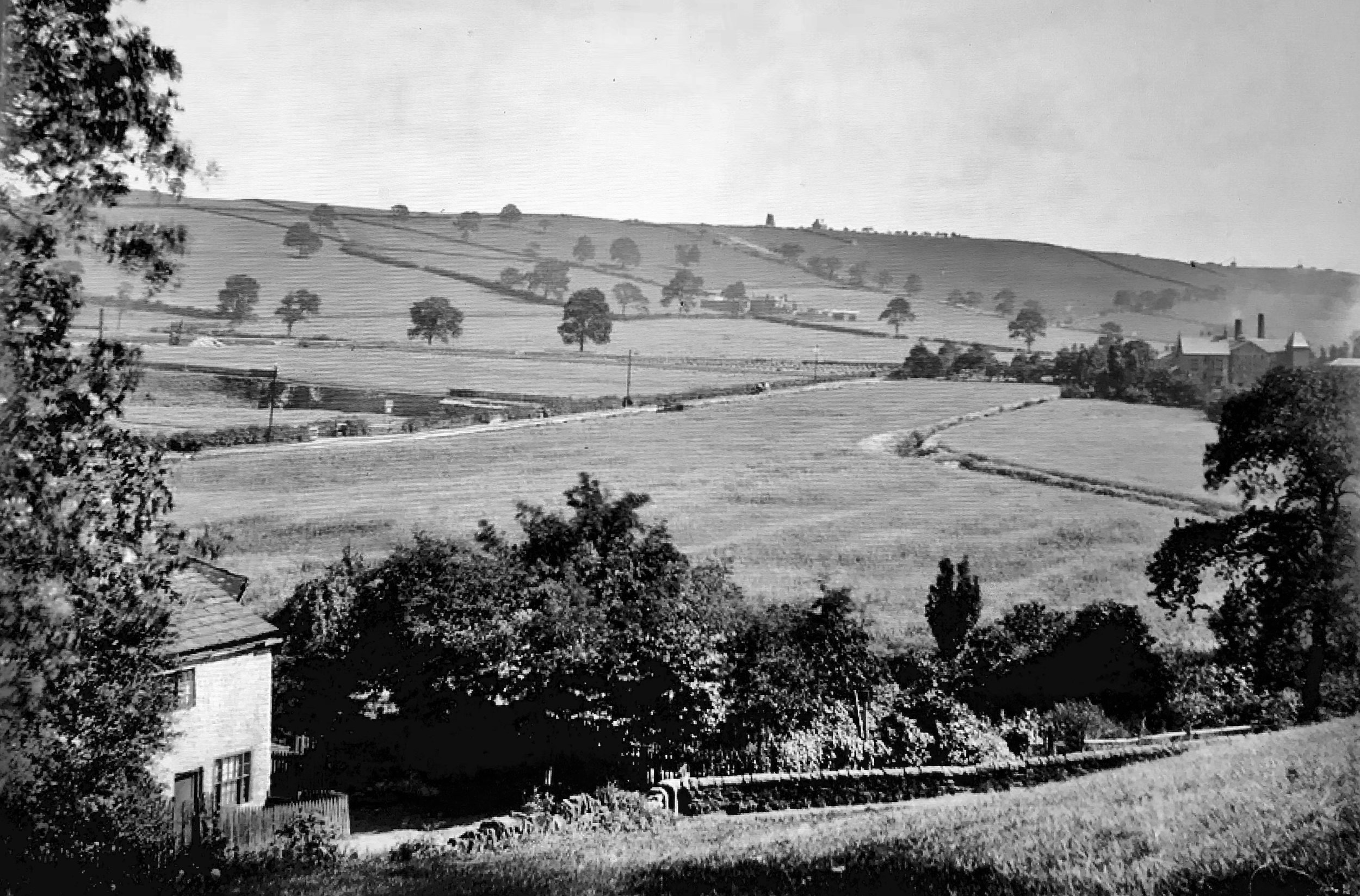 Bottom Meadows, Woodhouse Ridge, from Woodland Dye Works [demolished], 1888