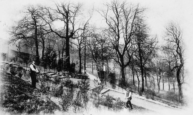 Woodhouse Ridge, Delph Lane Steps and Gardeners, undated