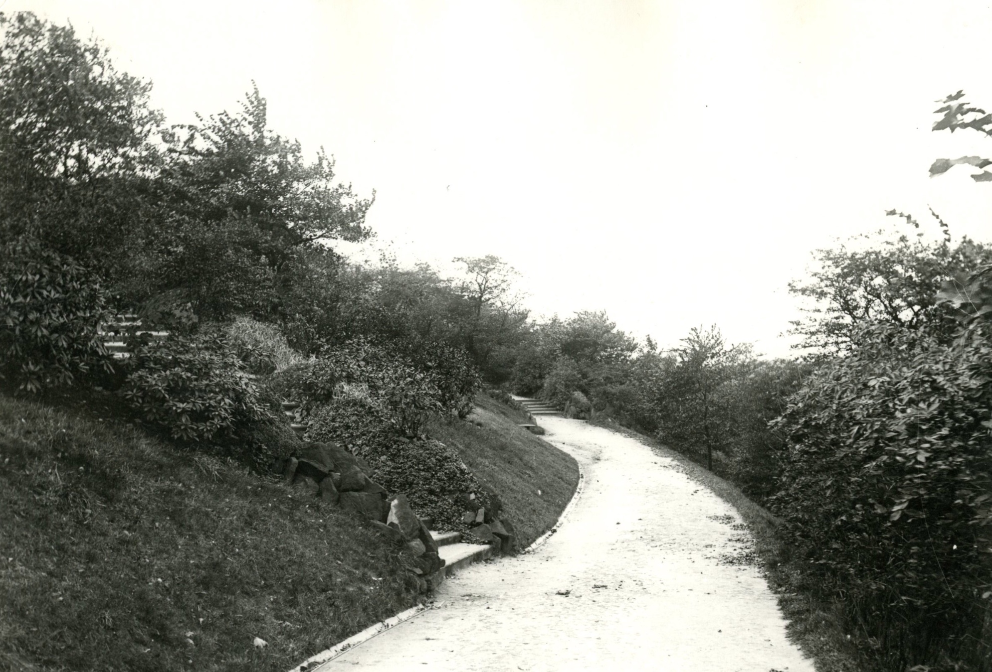 The Rockery, Woodhouse Ridge, undated