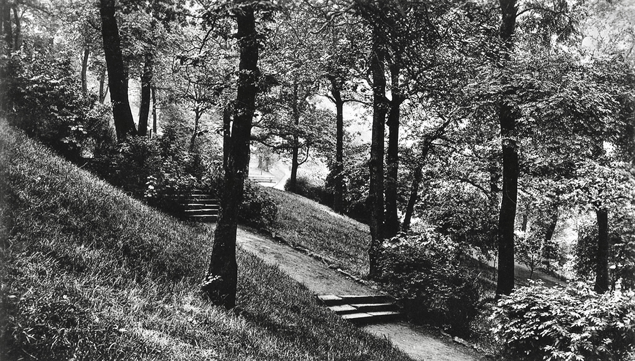 Woodhouse Ridge, Paths and Steps, 1915