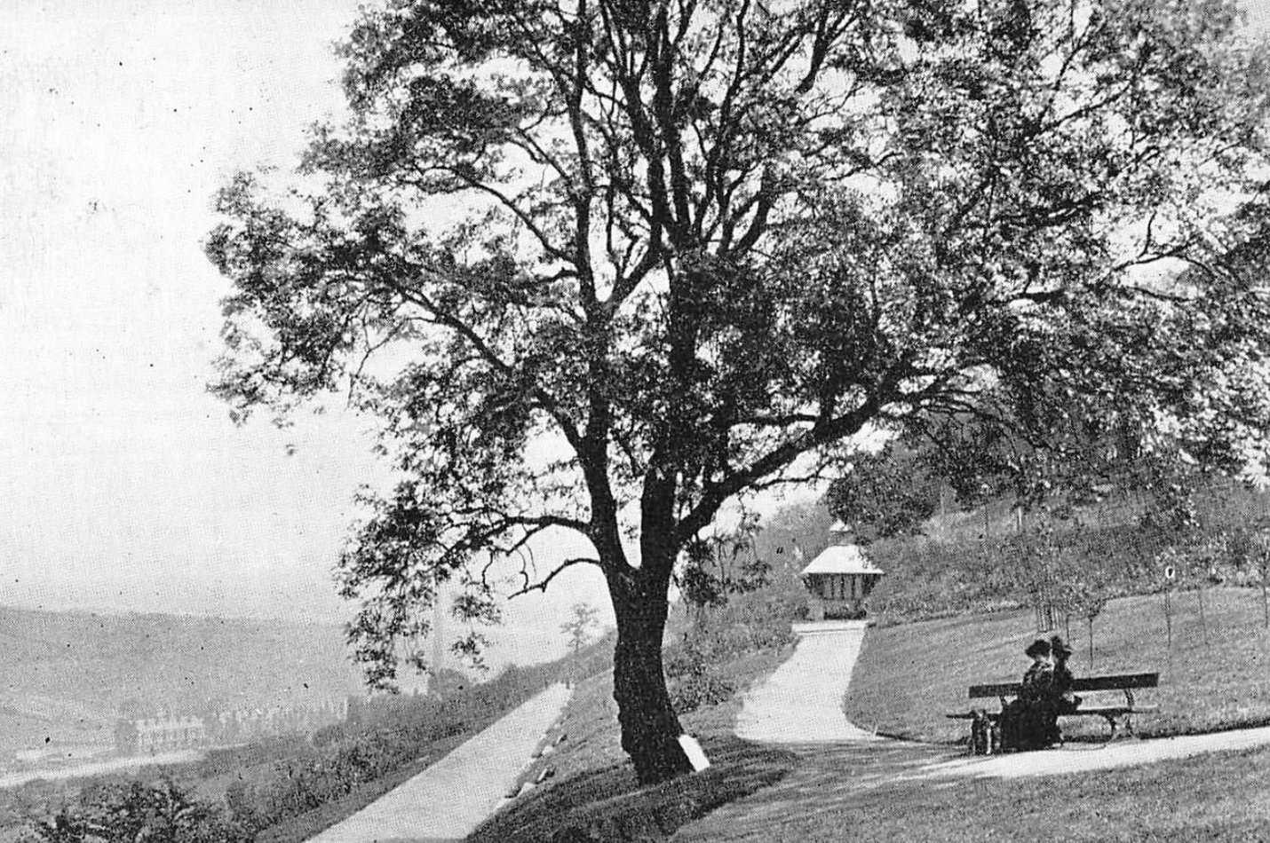 Woodhouse Ridge, with Chinese Pavilion [demolished], undated