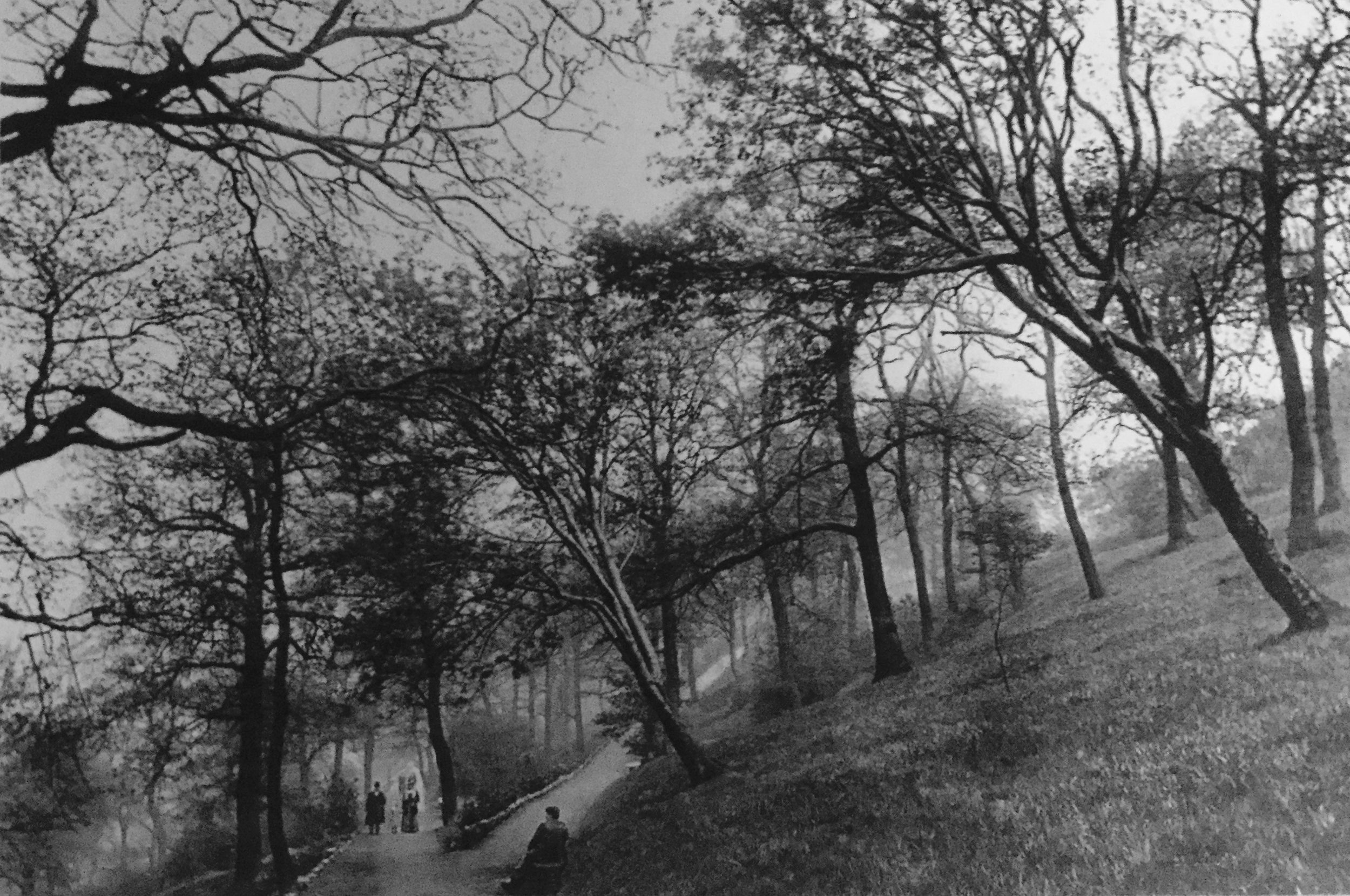 Paths on Woodhouse Ridge, undated