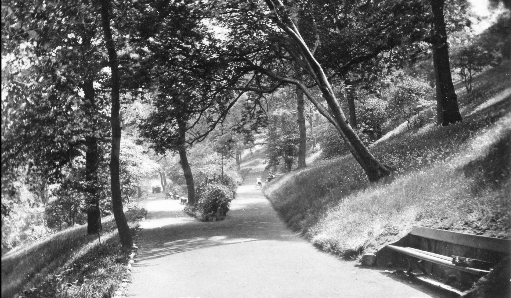 Paths on Woodhouse Ridge, undated